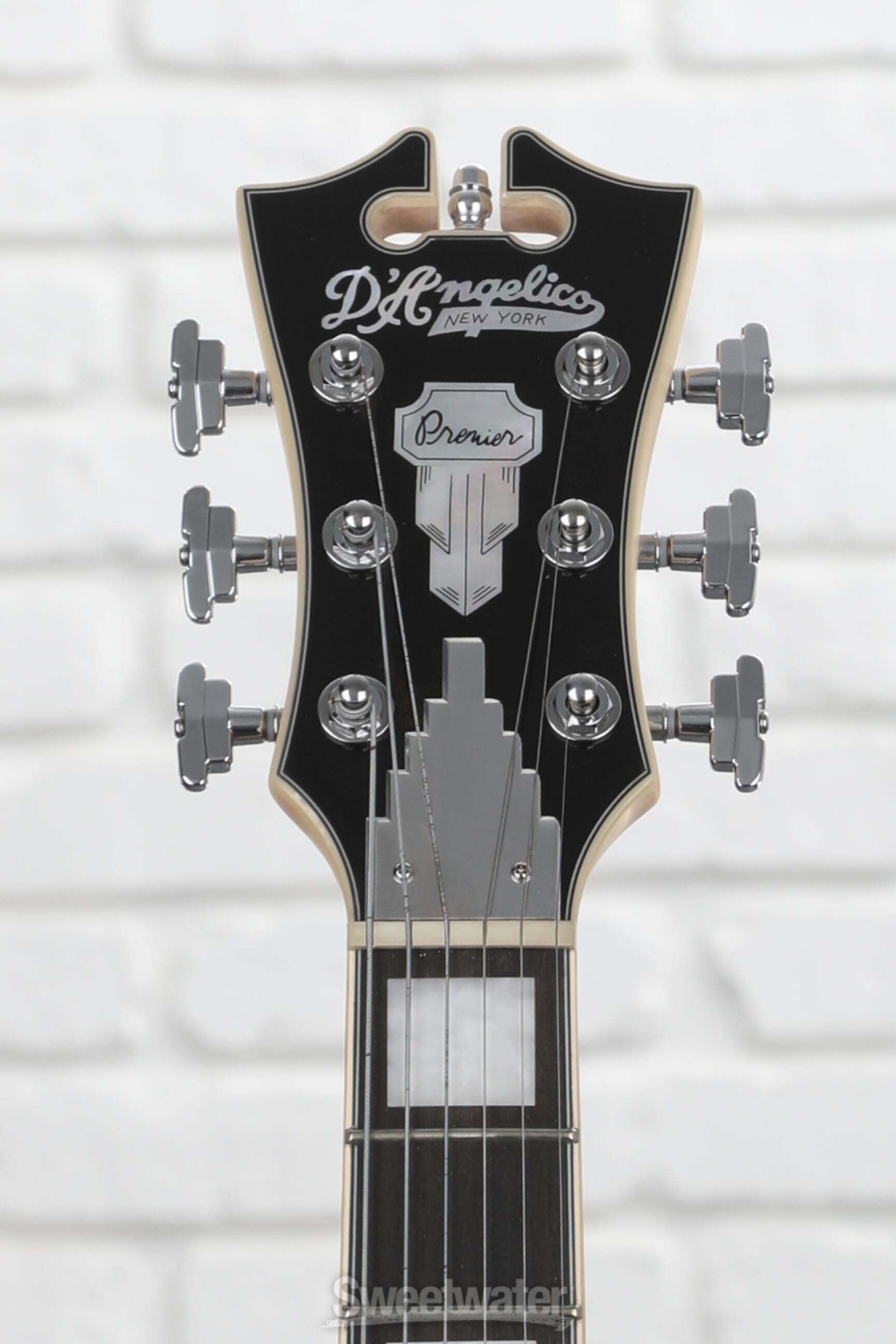 【ノビルさん専用】Ｄ'angelico premier ノビルさん専用】D'angelico premier