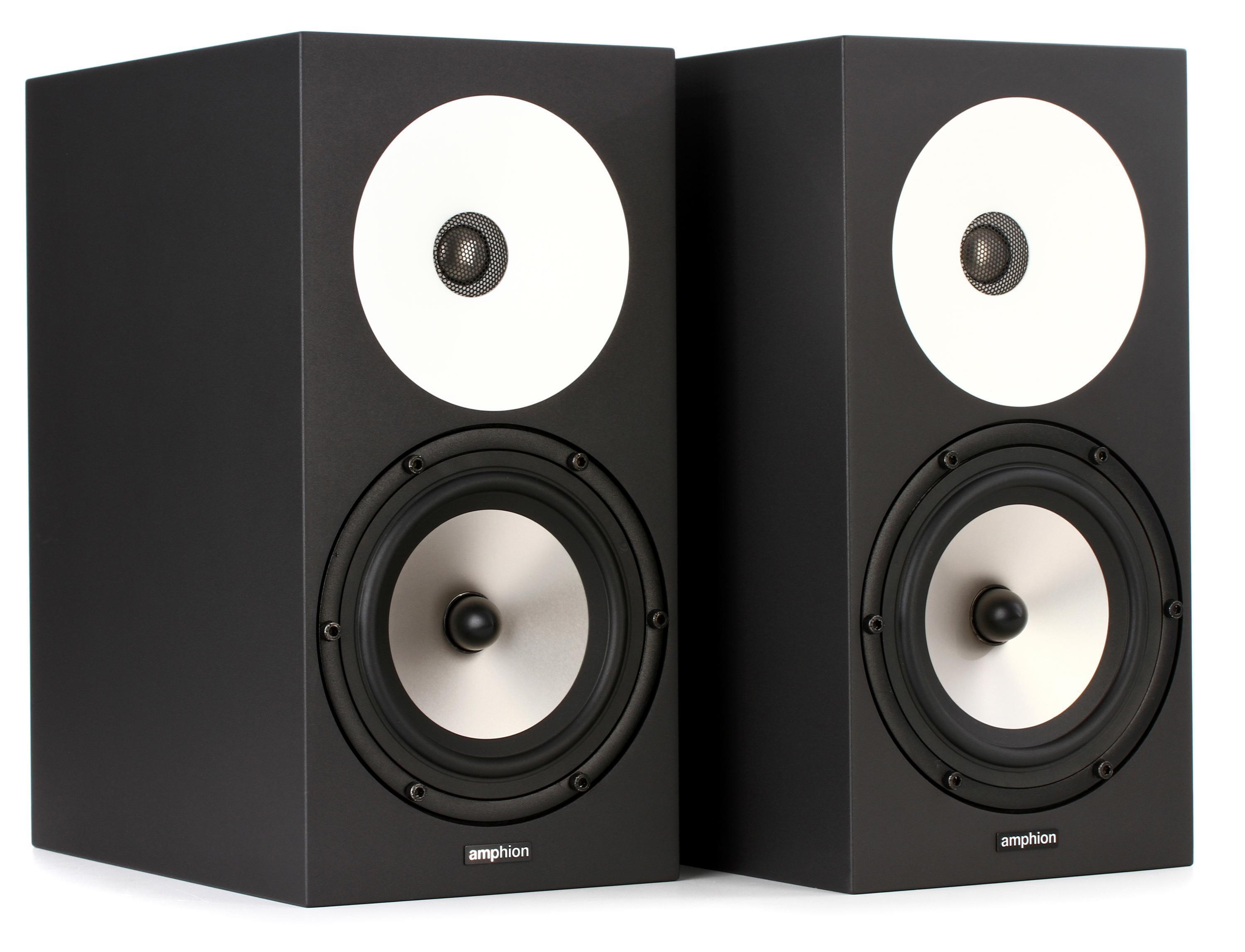 Amphion Amp100 mono 2本ペア ※セット購入特典あり - アンプ