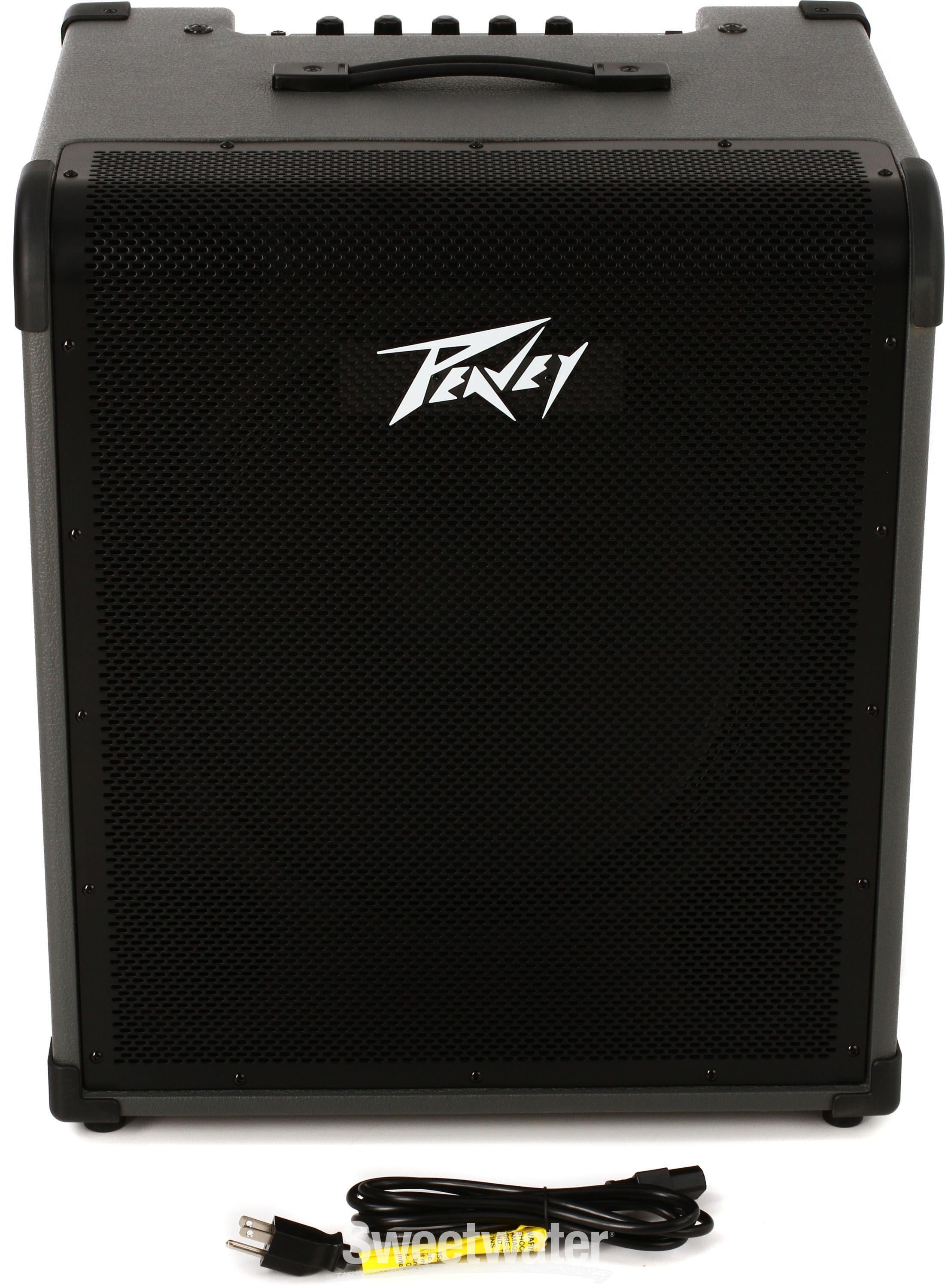 Peavey 300 deals watt bass amp