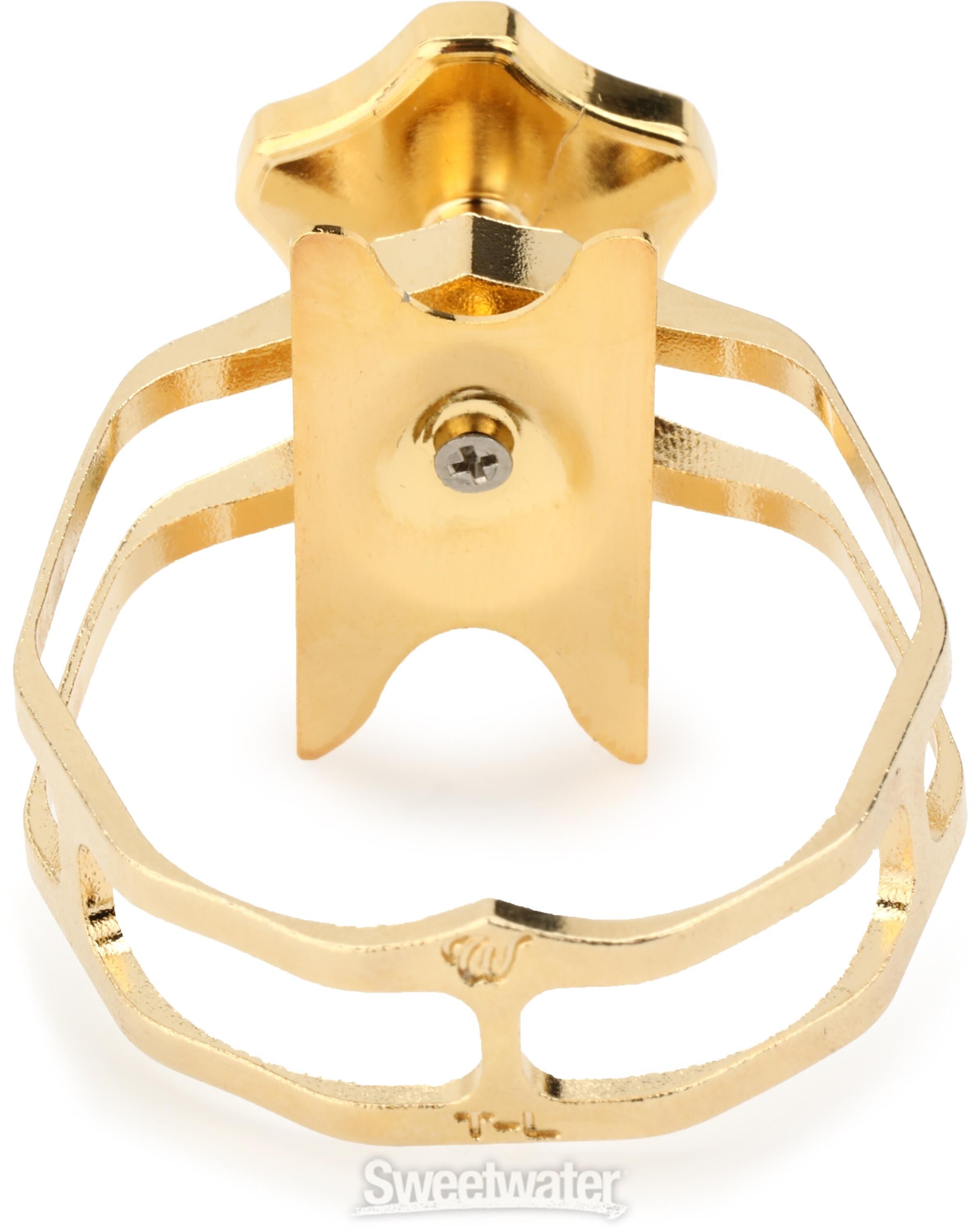 Theo Wanne Alto Sax Mouthpiece Theo Wanne Enlightened