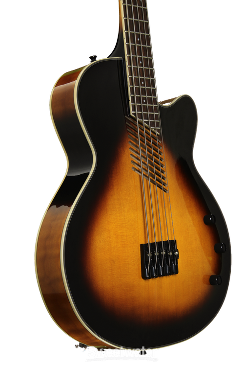 Washburn ５弦ベース Washburn AB45VSK Cutaway Acoustic 5 String Bass - Vintage Sunburst