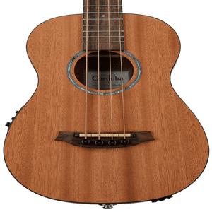 Ibanez PNB14E Acoustic-Electric Bass - Open Pore Natural | Sweetwater