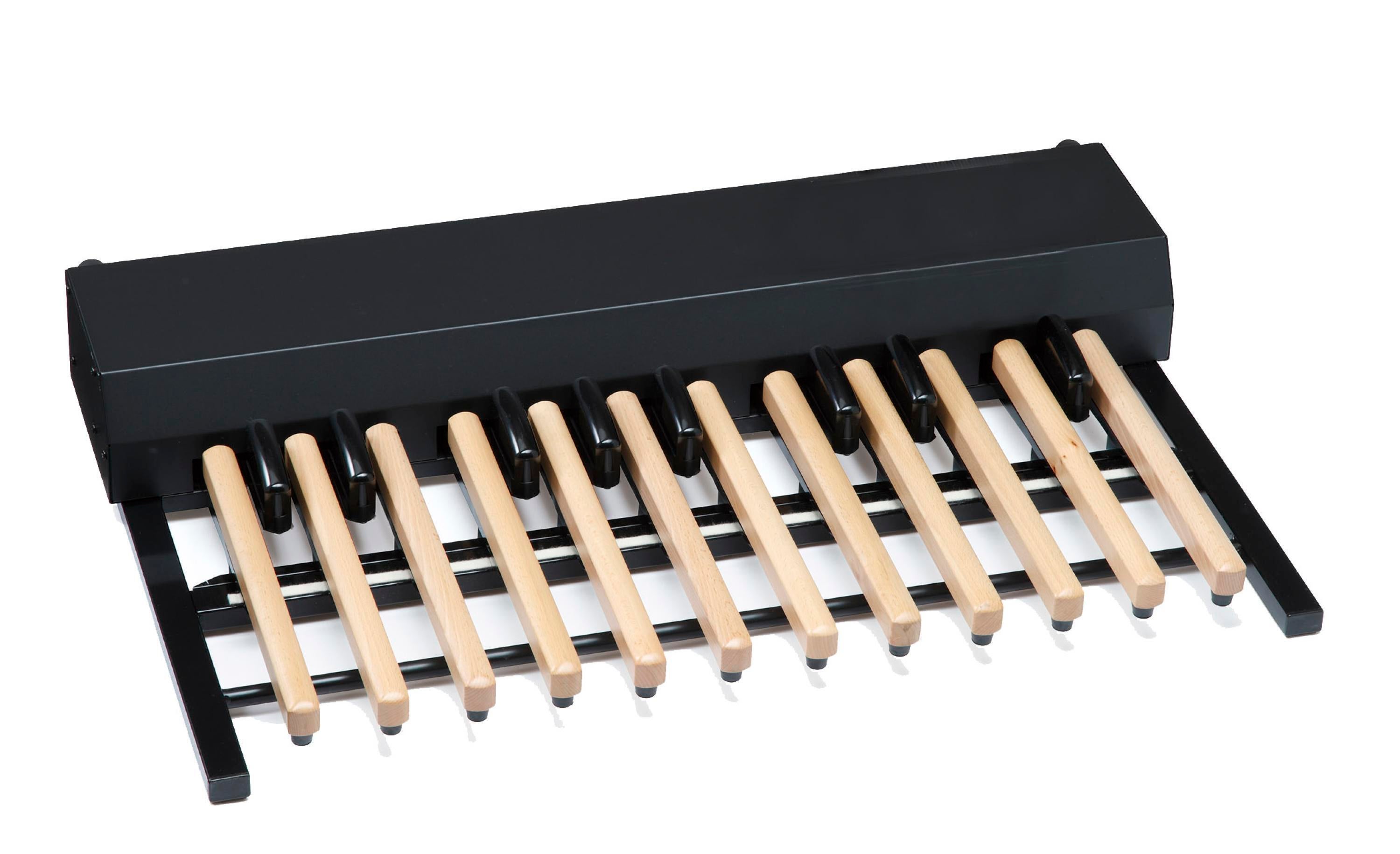Hammond XPK-200L Long Pedal Stick 20-Note MIDI Pedal Board