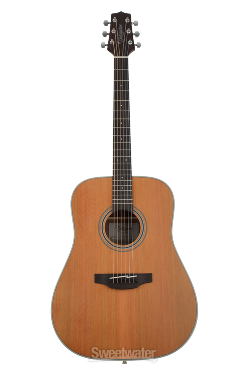 Takamine GD20 Acoustic Guitar - Natural Satin