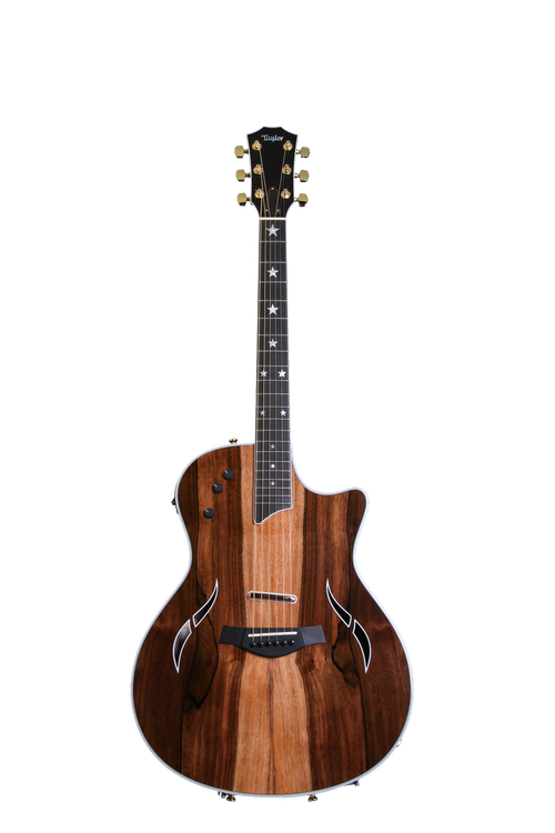 Taylor T5 Custom Macasser - Striped Ebony w/Star Inlays | Sweetwater
