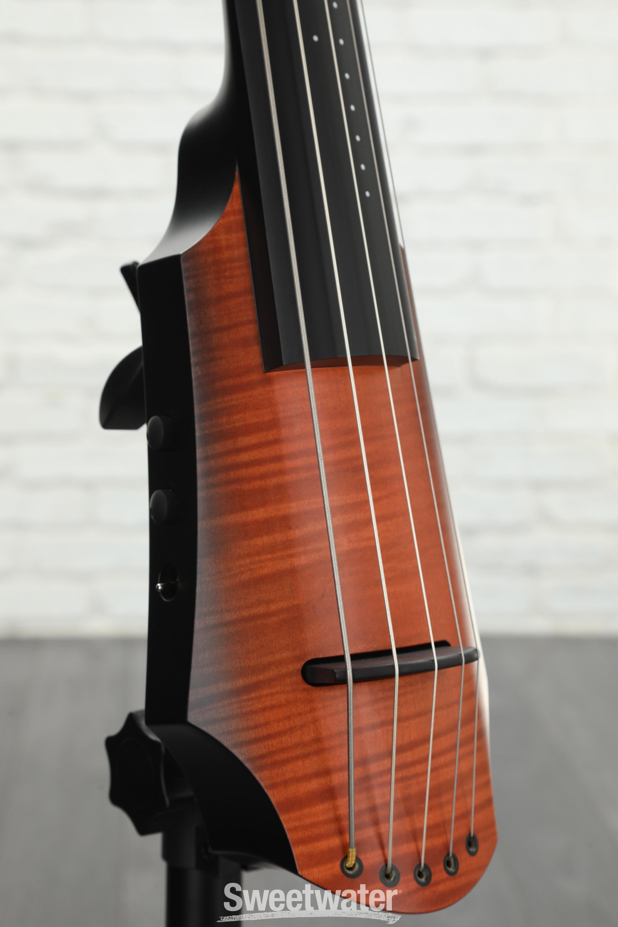 5 string store cello