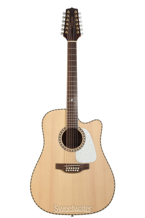 タカミネ海外輸出モデルGD-20CE-ns、 GD20CE NS - Takamine