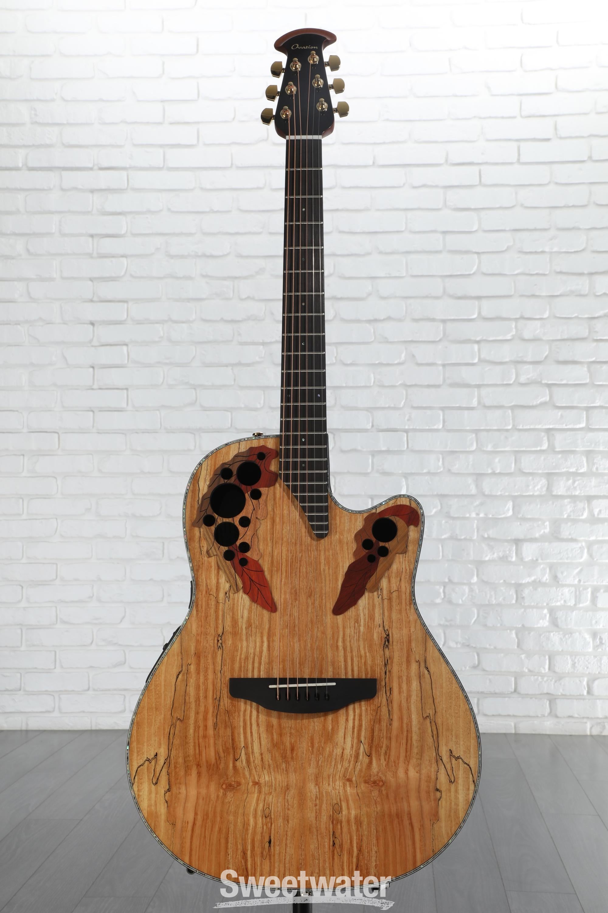 【10766】 Ovation Celebrity CE44P-SM エレアコ Amazon | Ovation Celebrity CE44P-SM-G エレアコギター