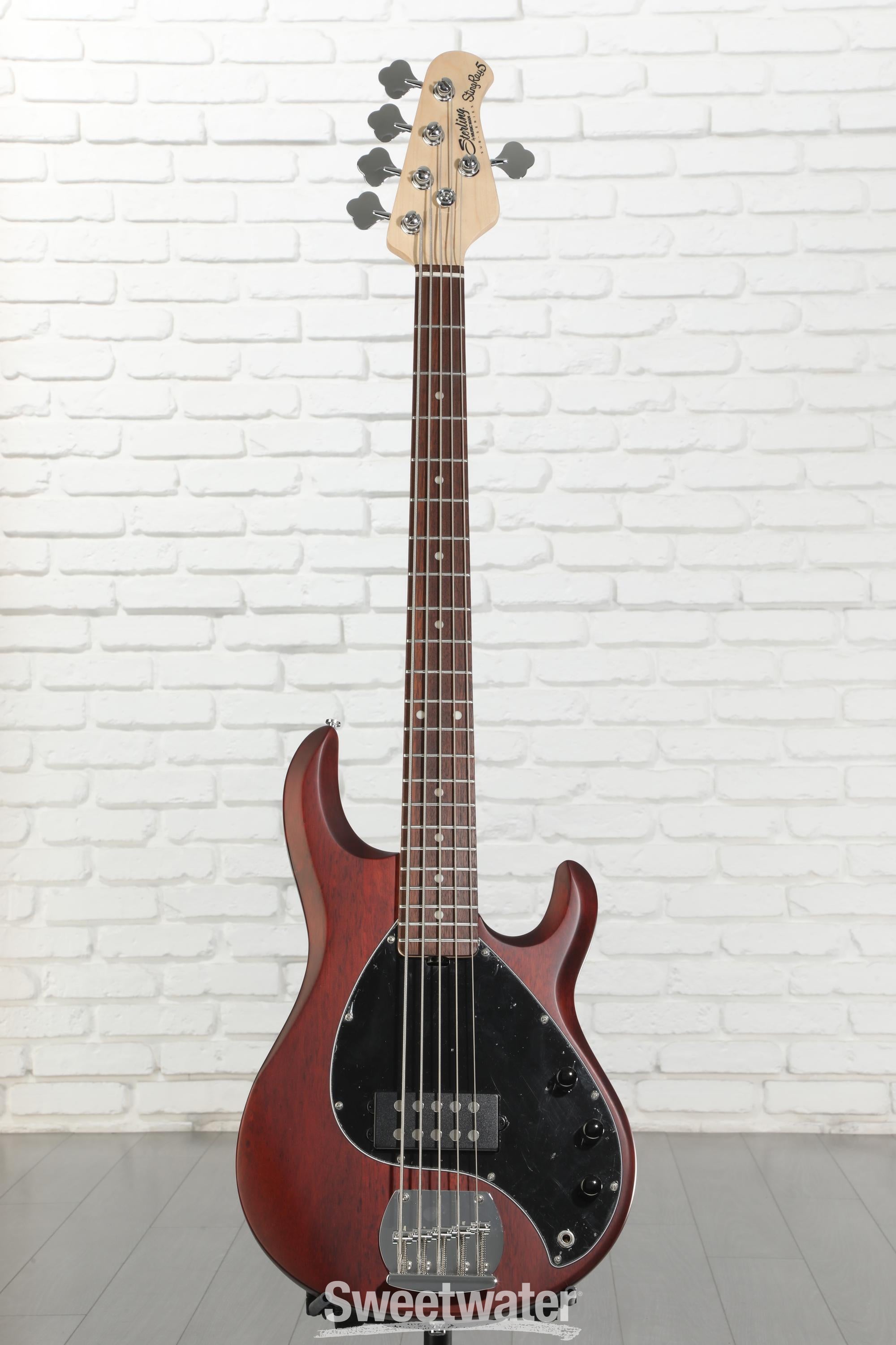 Sterling By Music Man StingRay RAY5 Bass Guitar - Walnut Satin