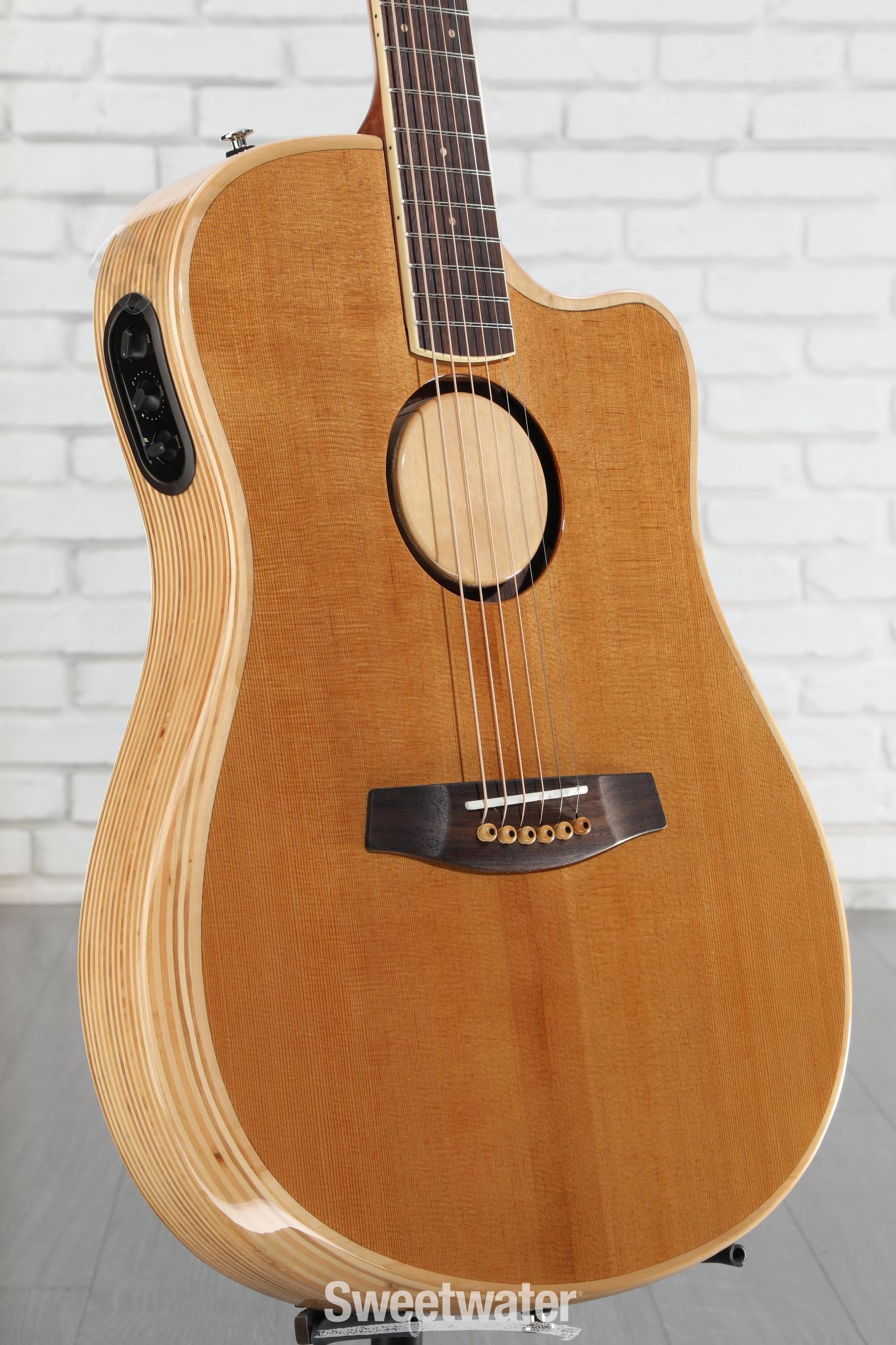 LR Baggs AEG-1 Acoustic-electric Guitar - Torrefied Spruce Top