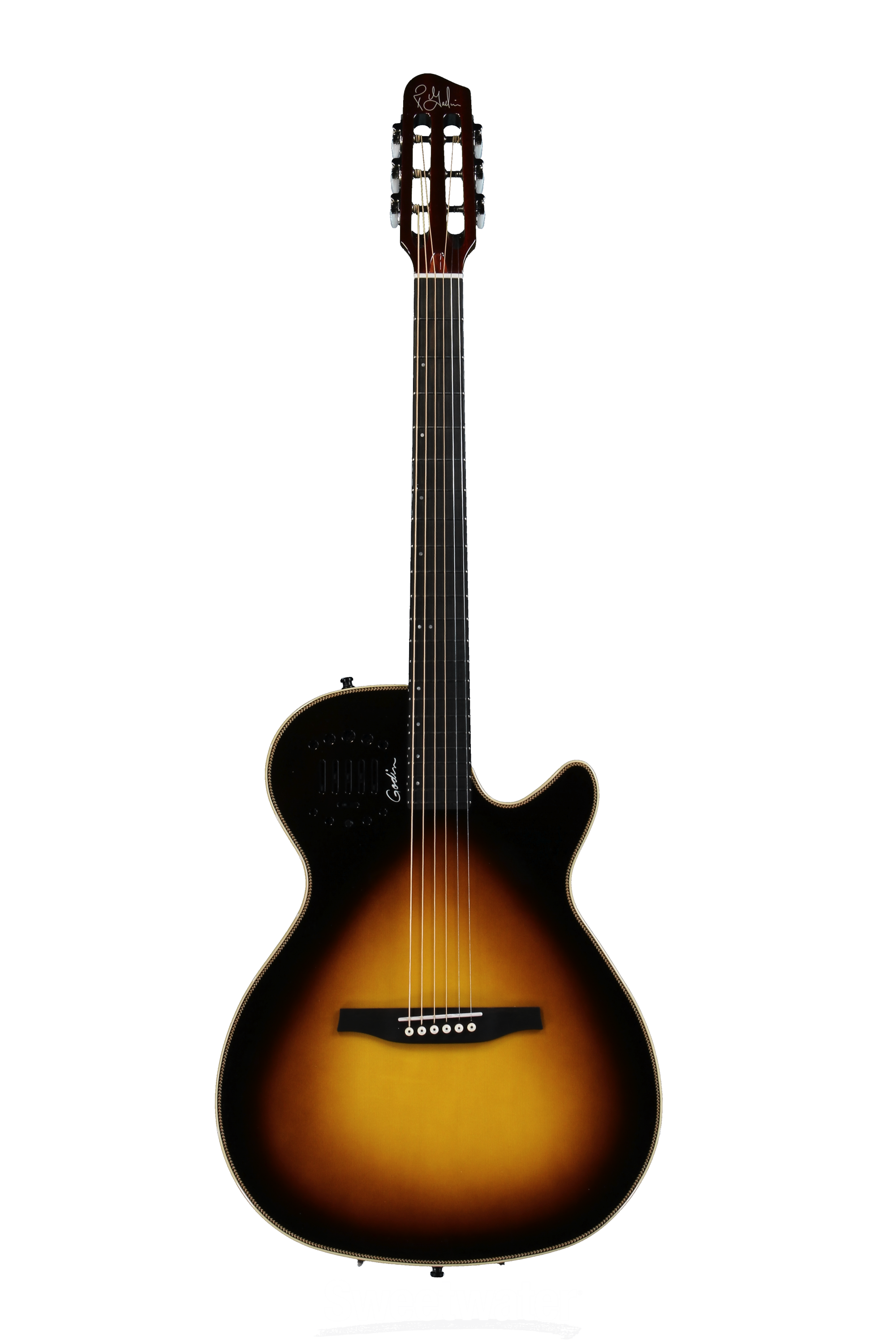 Godin Multiac Steel Duet Ambiance エレアコ アコースティック