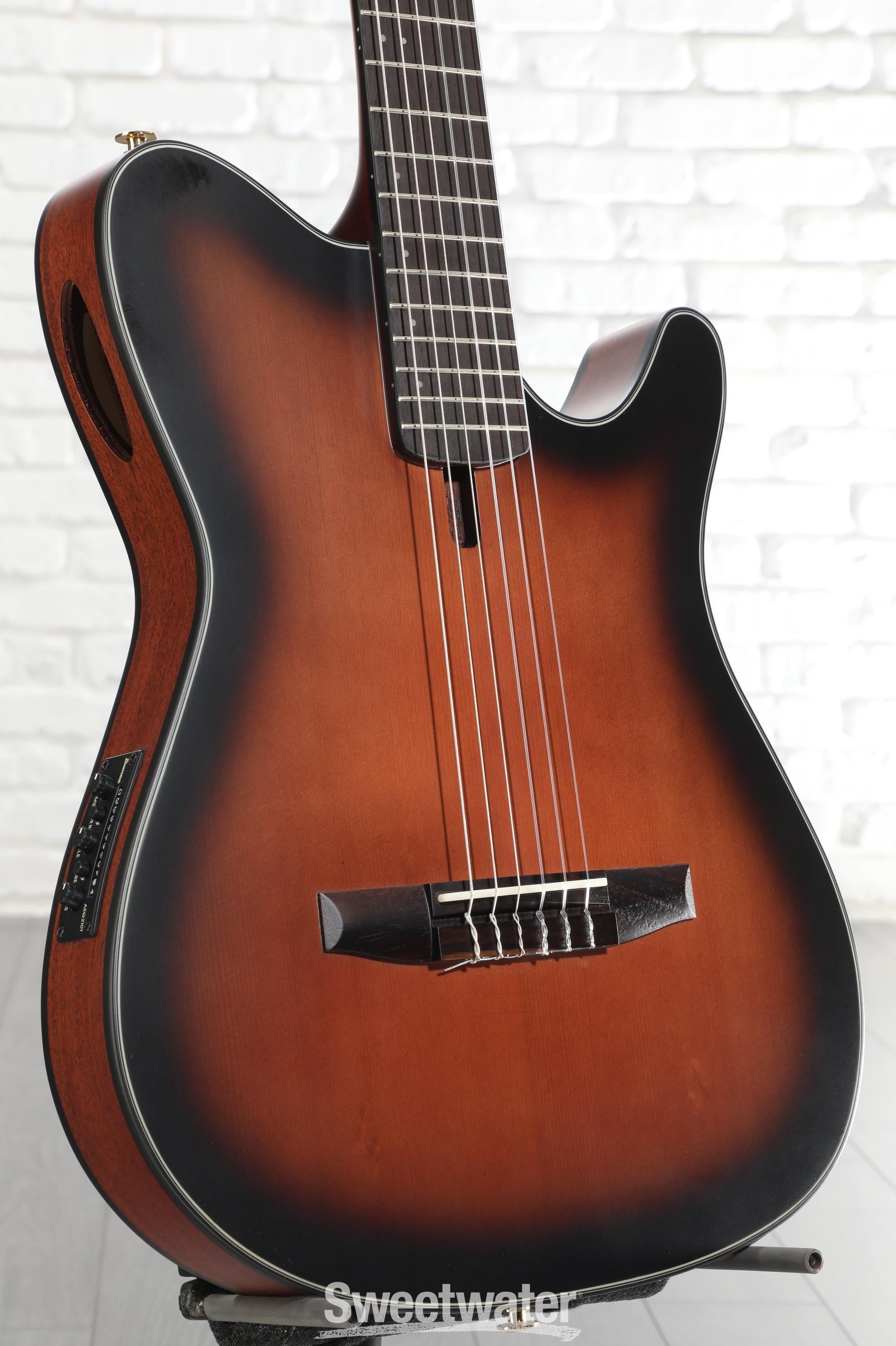 Ibanez FRH10N Thinline Nylon Acoustic-electric Guitar - Brown