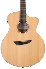 Photo of Ibanez PA230E Acoustic-Electric Guitar - Natural Satin Top, Natural Low Gloss Back and Sides