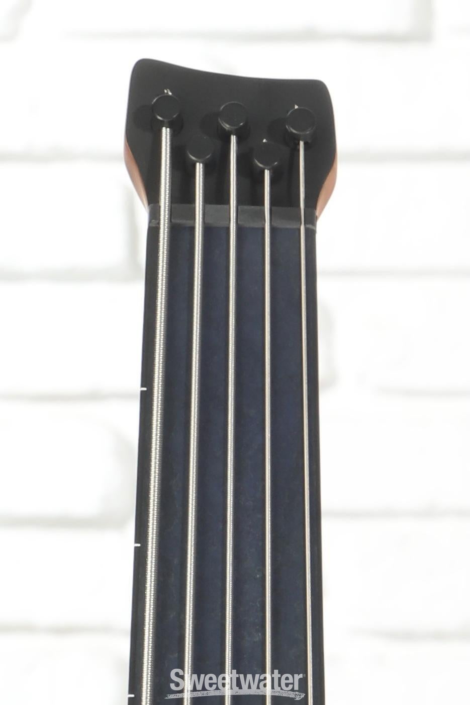 Ibanez Standard EHB1005F Fretless 5-string Bass Guitar - Arctic Ocean Matte