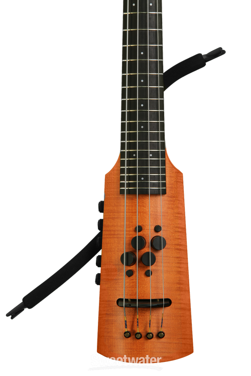 Fretted on sale upright bass