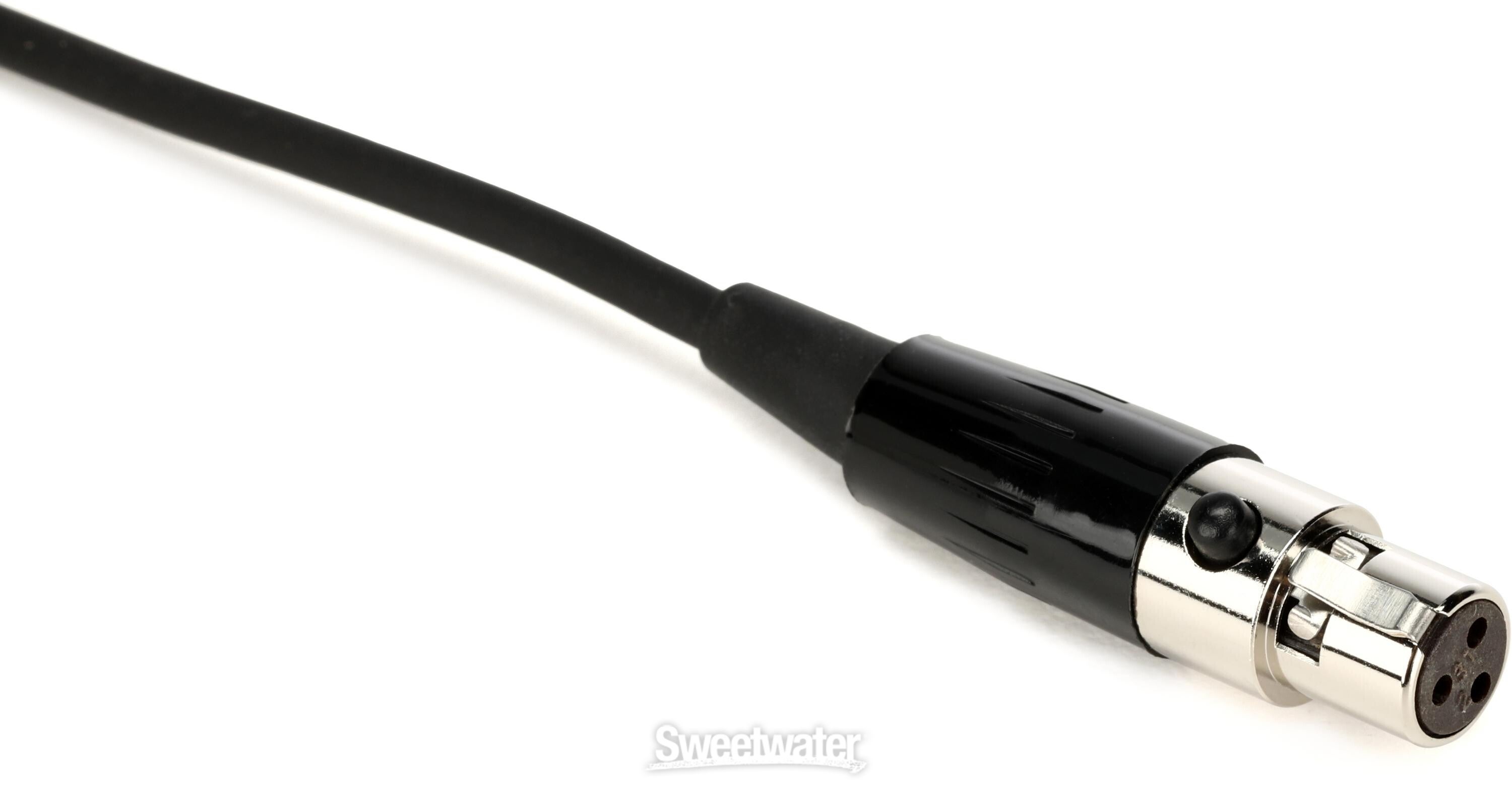 Zoom TXF-8 TA3 to XLR Cable - 21-inch | Sweetwater