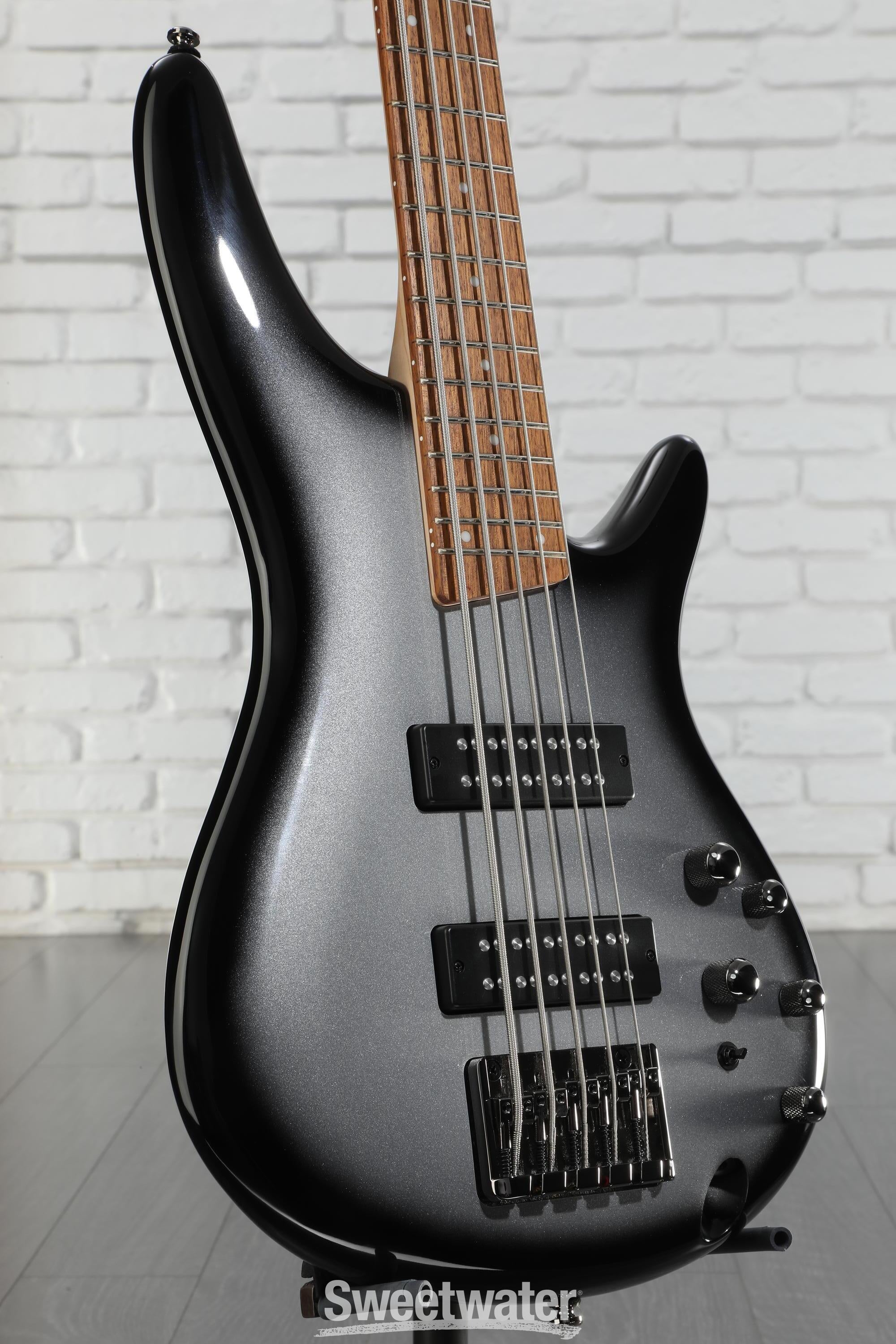 K*a様 Ibanez SR305E-IPT 5弦ベース SR305E | SR | ELECTRIC BASSES | PRODUCTS | Ibanez guitars