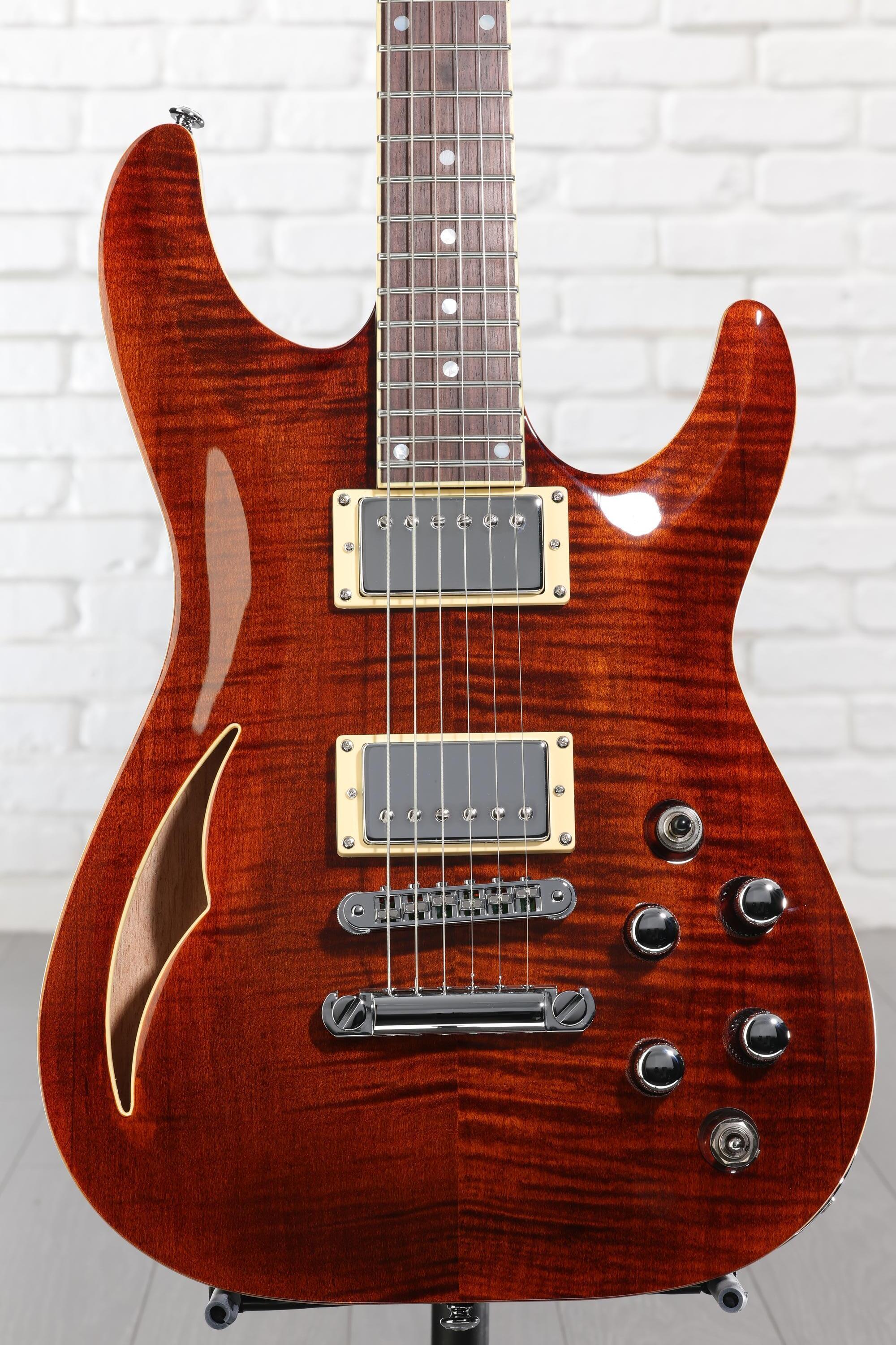 Schecter C-1 E/A Classic Semi-hollowbody Electric Guitar - Cats