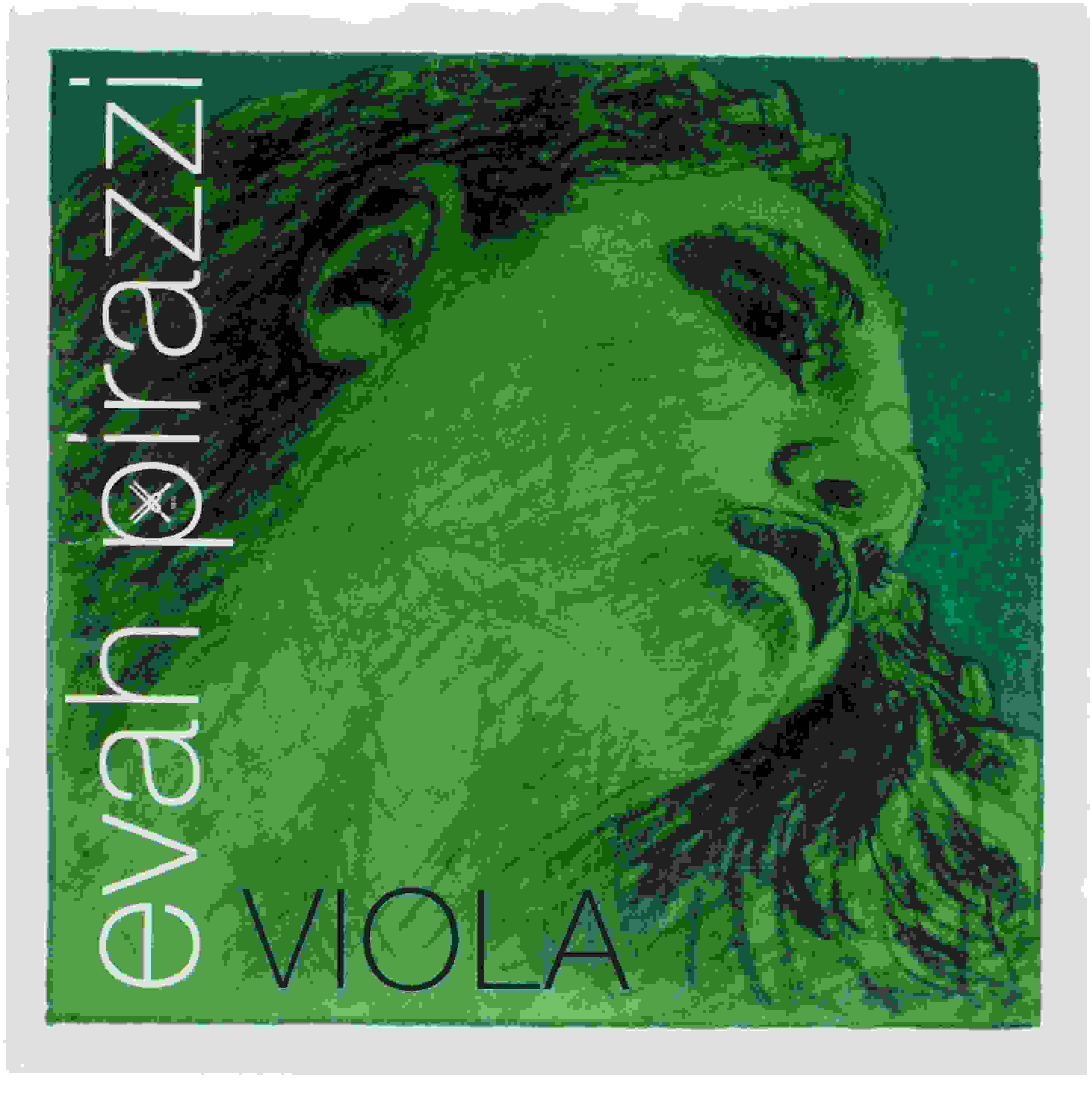 Pirastro Evah Pirazzi Viola D String - 4/4 Size (15-16.5 Inch)