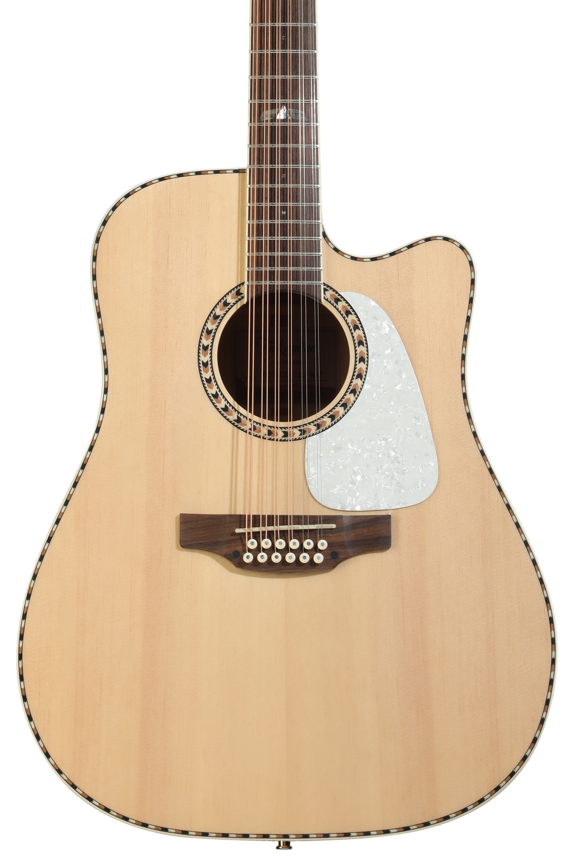 Takamine　NPT110-12　12弦Guitar Takamine NPT-110-12 / 12strings | Reverb