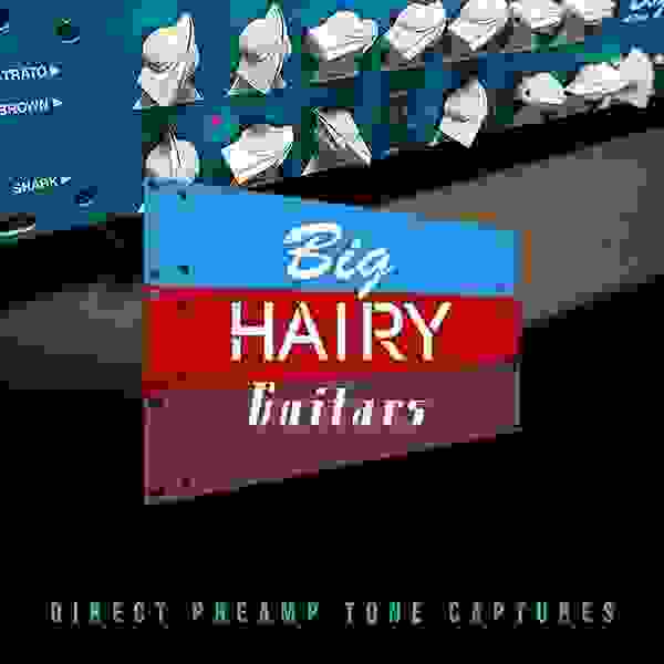 IK Multimedia TONEX Big Hairy Guitars BOGGY Fish Preamp Tone Collection