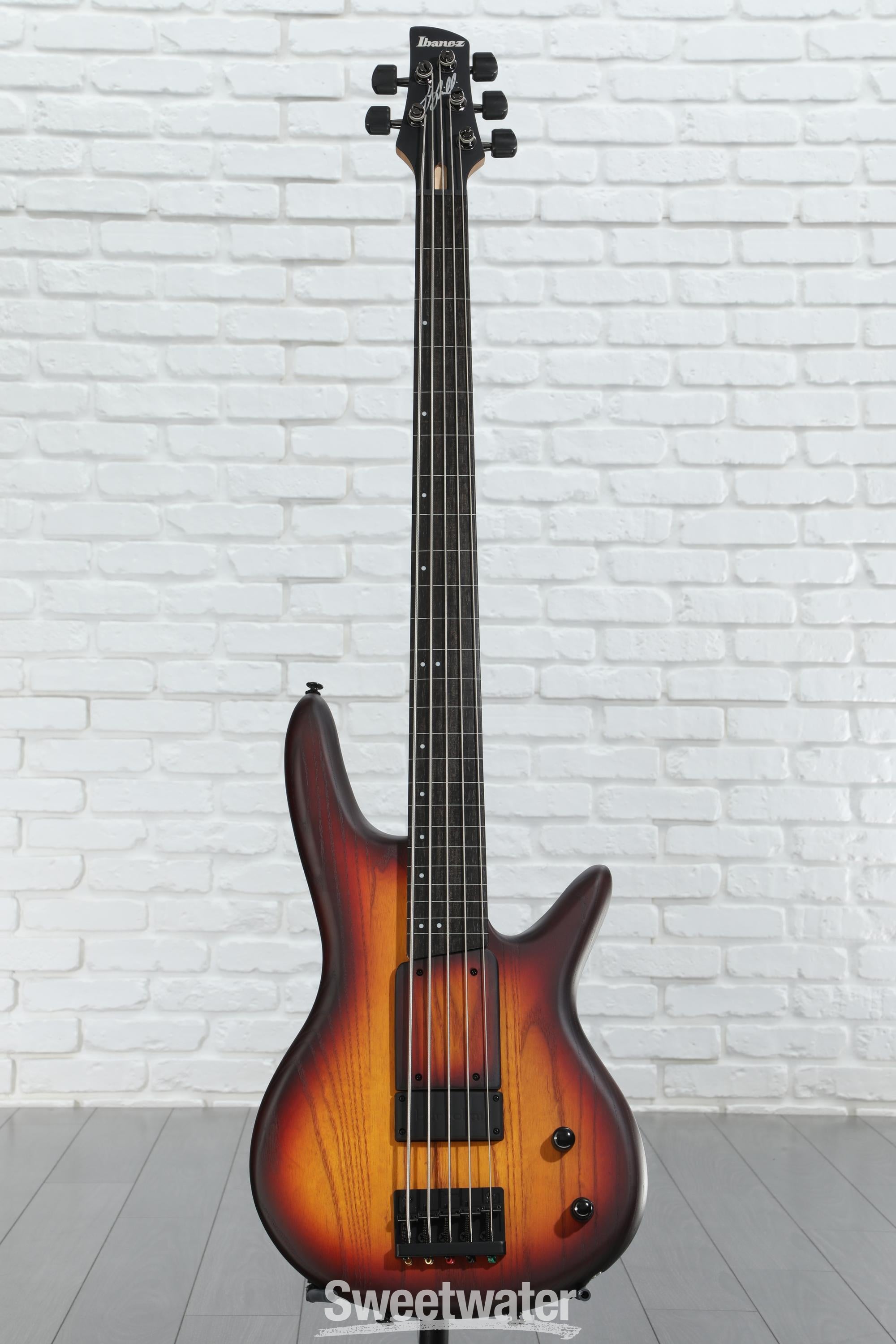 Ibanez Gary Willis Signature GWB205 Fretless Bass Guitar