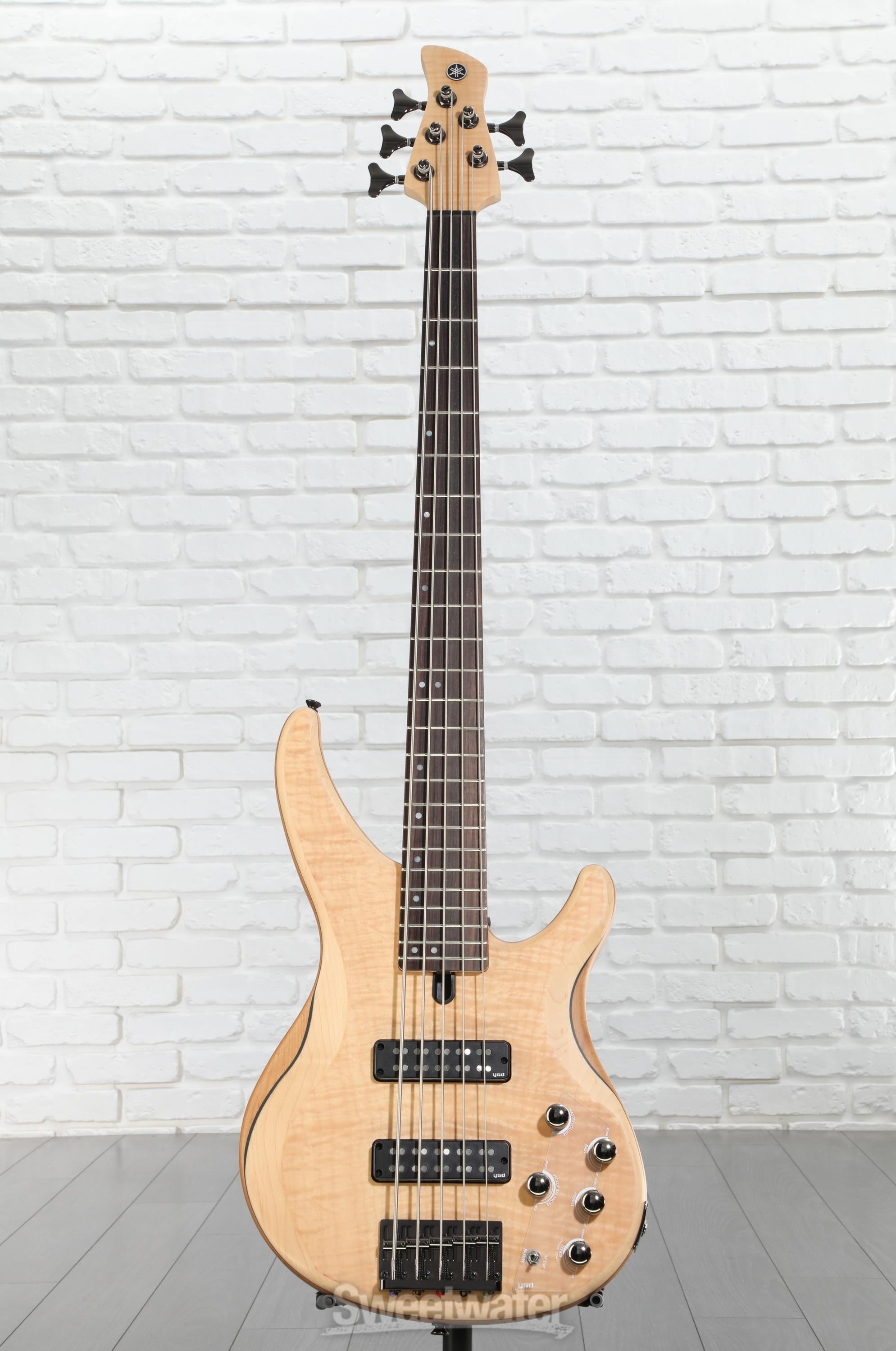 ベース Yamaha TRBX 605FM MA Amazon.com: Yamaha TRBX605 5-String Flamed Maple Bass Guitar