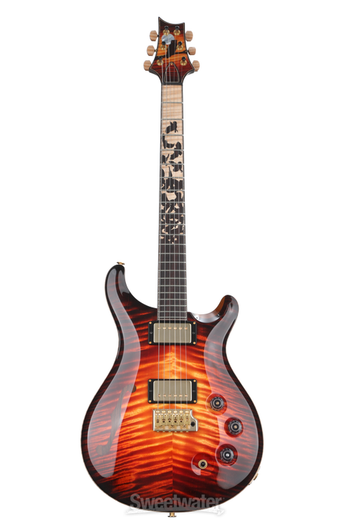 PRS Private Stock #9774 Owls in Flight DGT Electric Guitar 