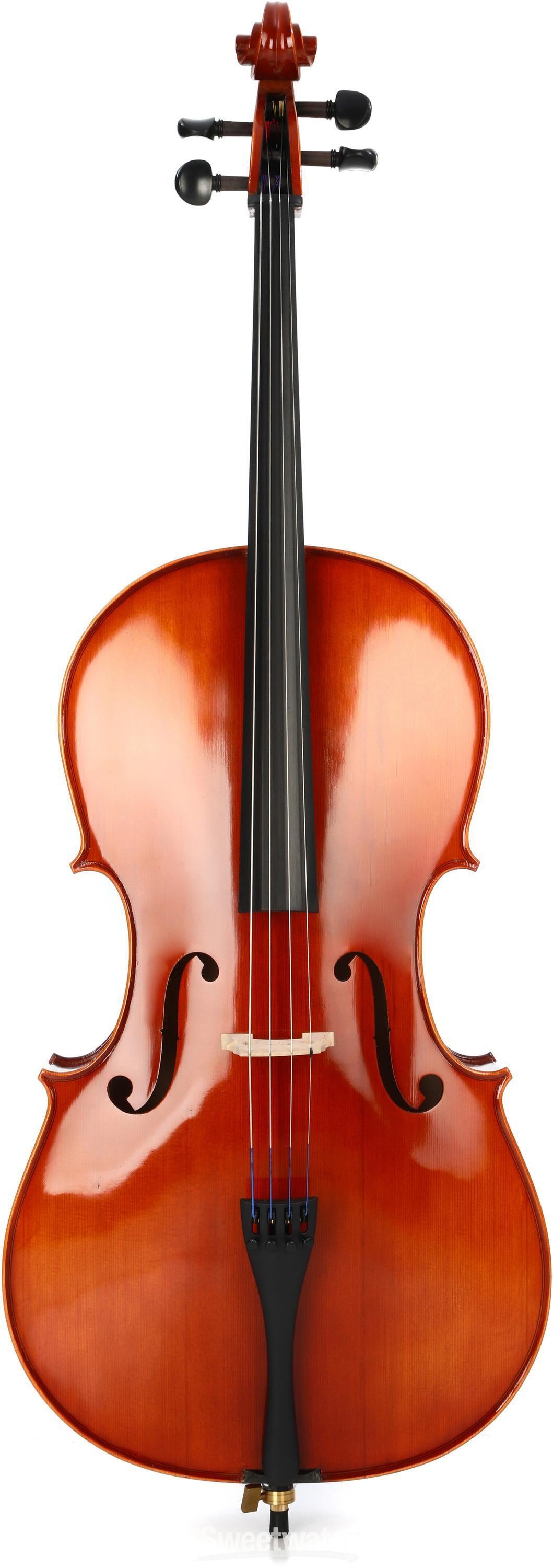 調整品】Andreas Eastman VC100 4/4 チェロ - メルカリ