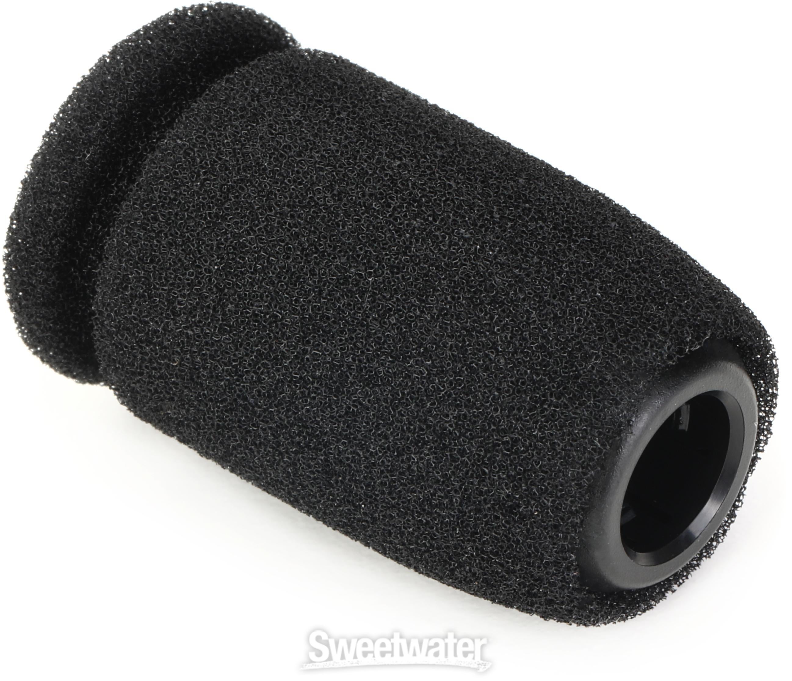 Audio-Technica AT8109 2-Stage Foam Windscreen for M25 and