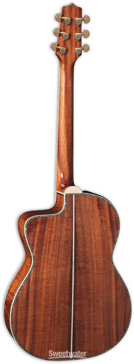 Takamine アコースティックギター FOTBS Takamine 