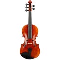 Photo of Realist RV5PEFA 5-string Acoustic-electric Violin - Frantique