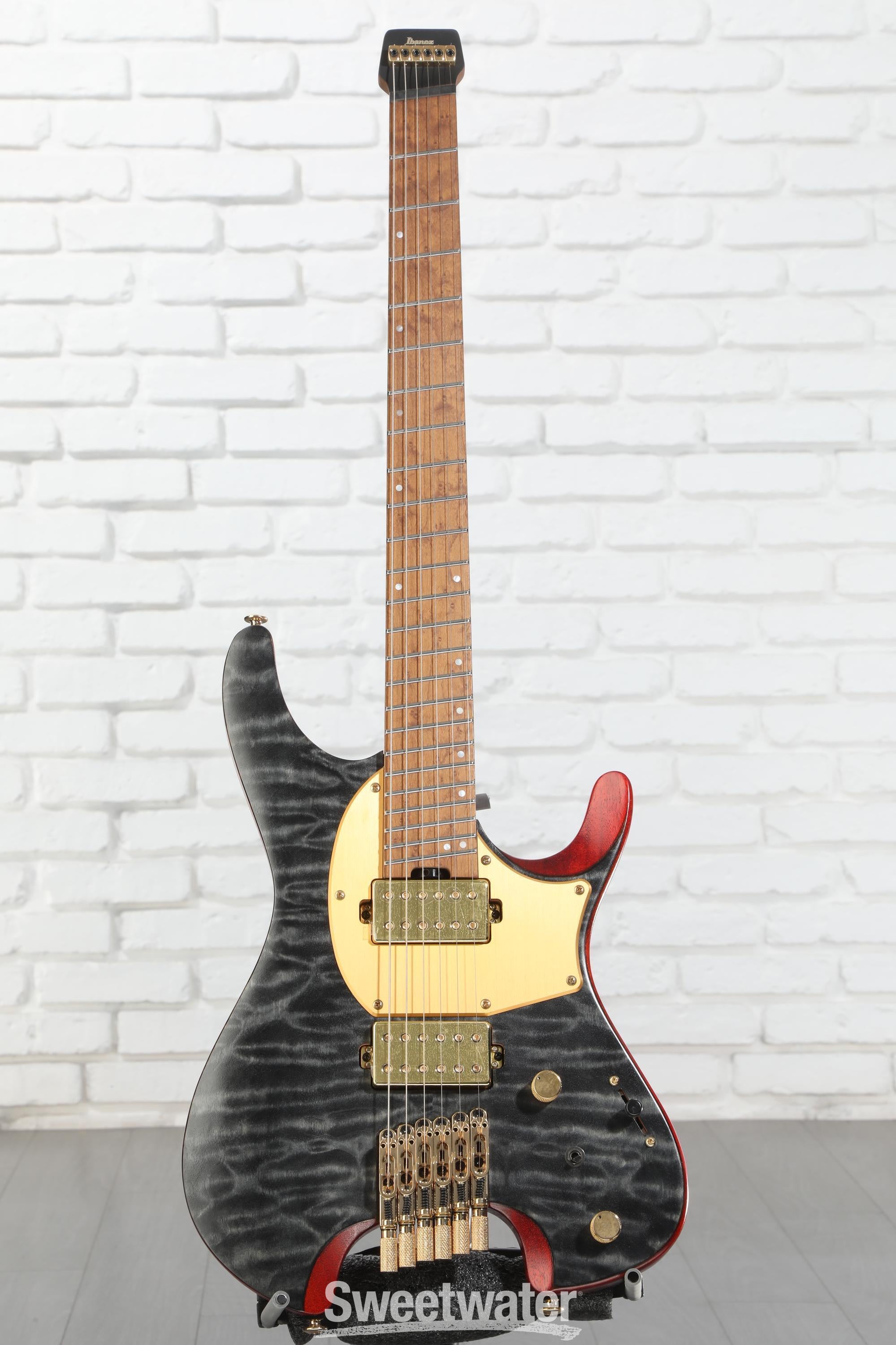 Ibanez MGFM10 Manuel Gardner Fernandes Signature Electric