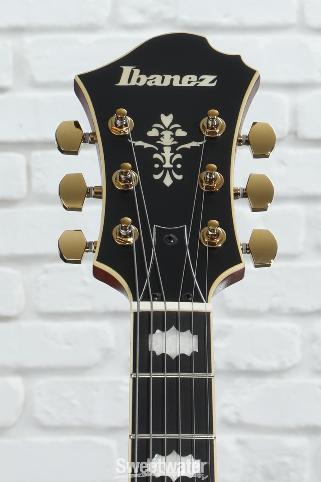 Ibanez PM3C Pat Metheny Signature Hollowbody Electric Guitar
