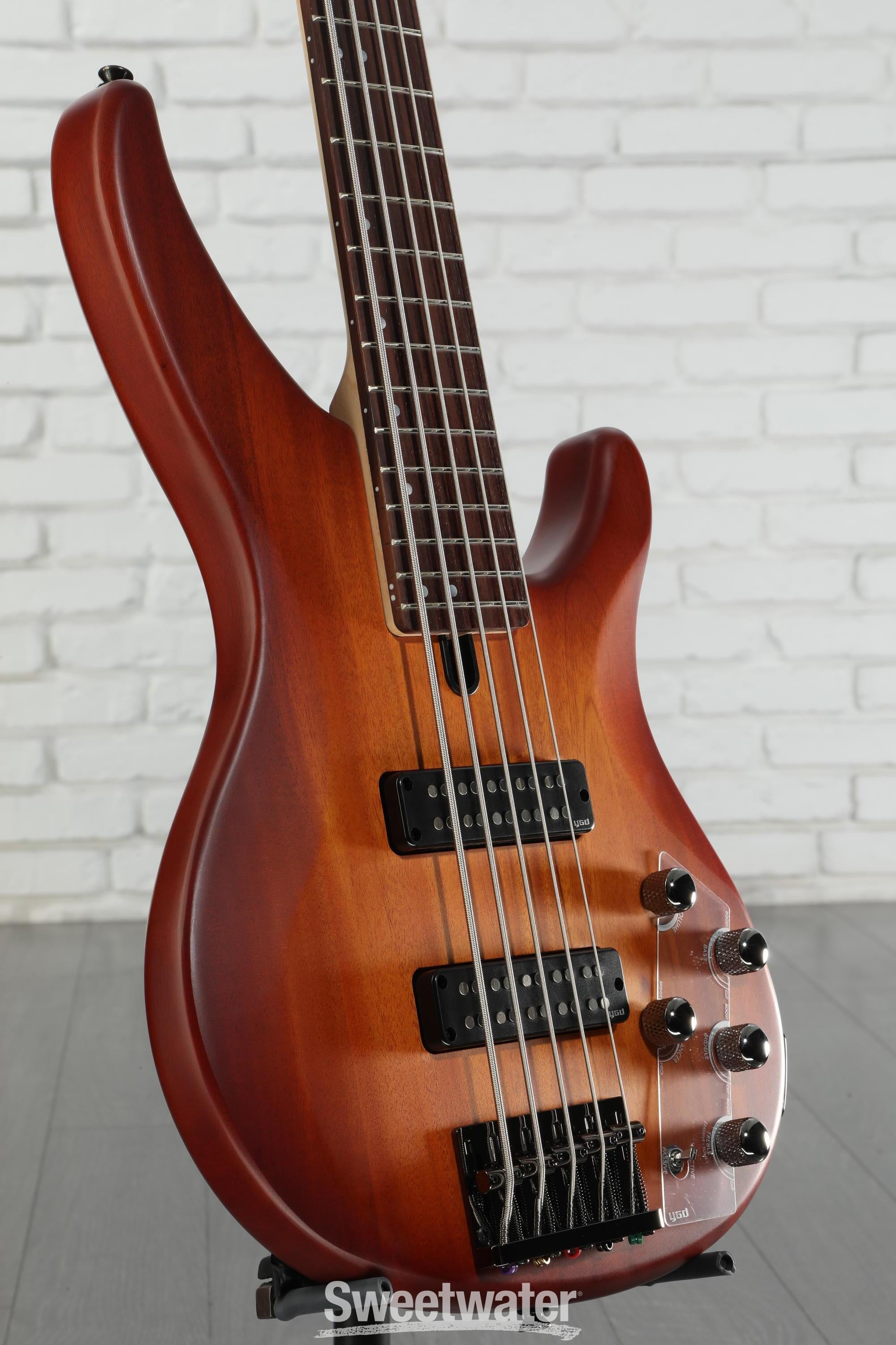 ベース Yamaha TRBX 505 TRBX - 500 Series - Basses - Guitars, Basses & Amps
