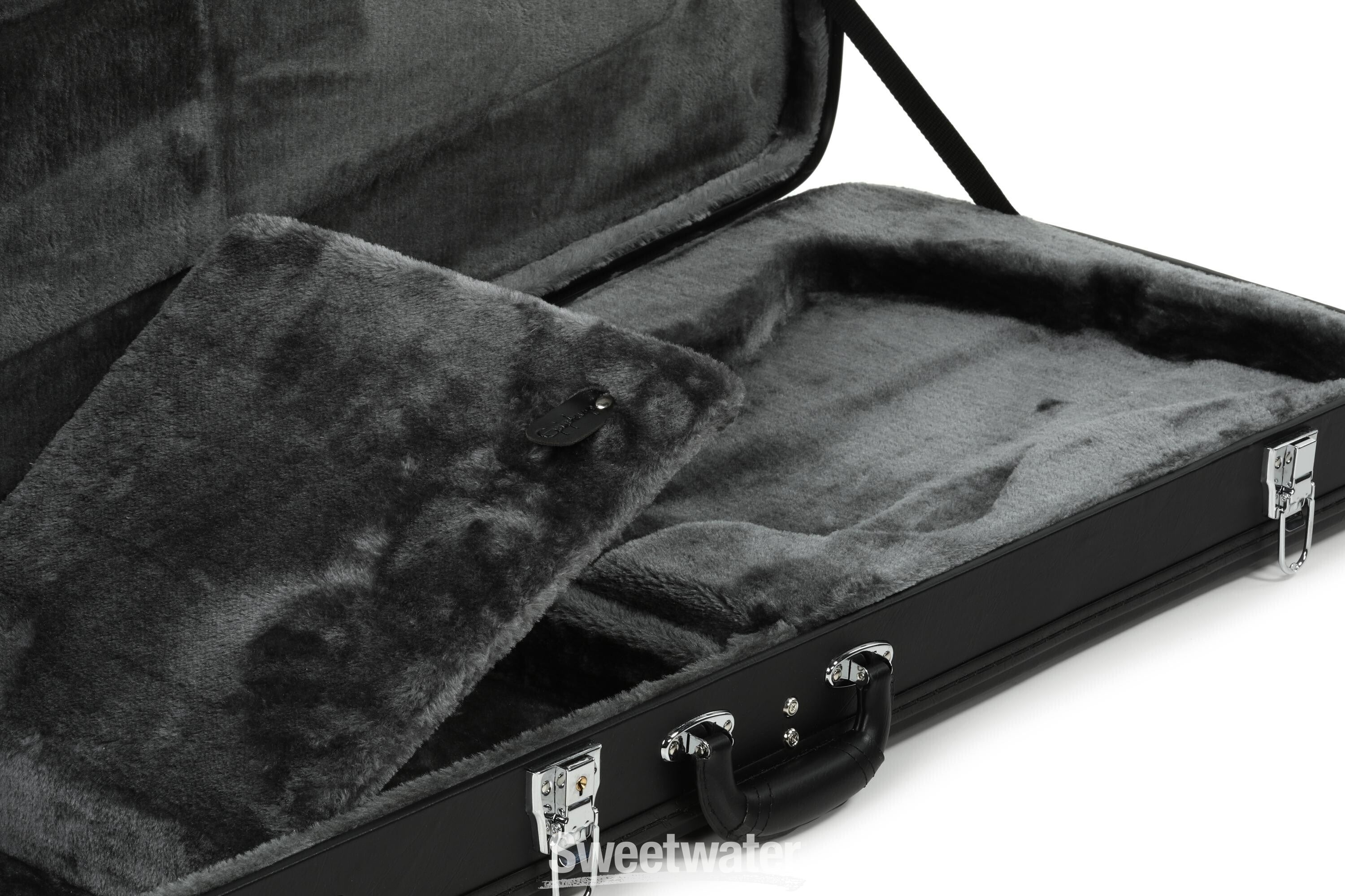 Epiphone thunderbird deals hard case