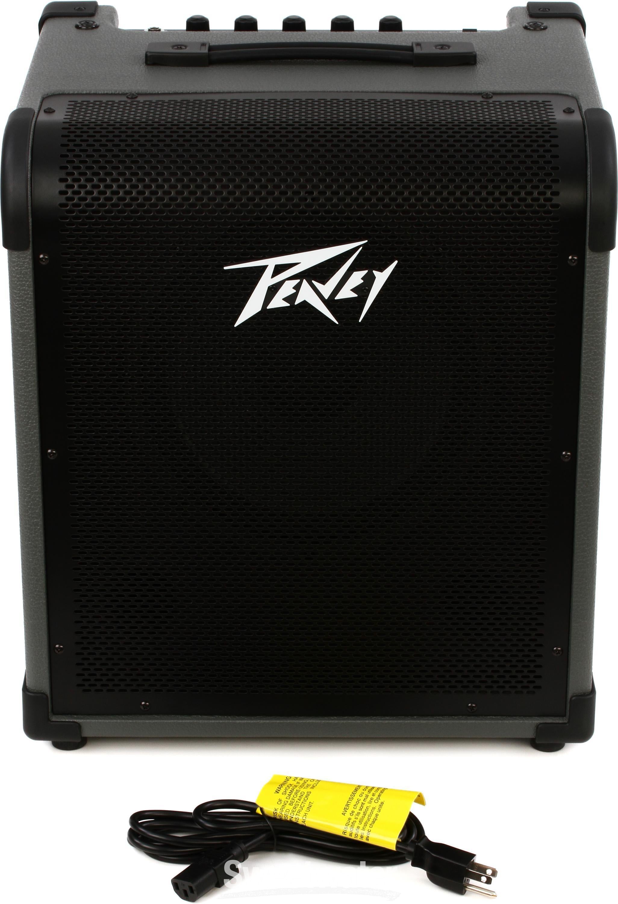 Peavey 100 deals watt bass amp