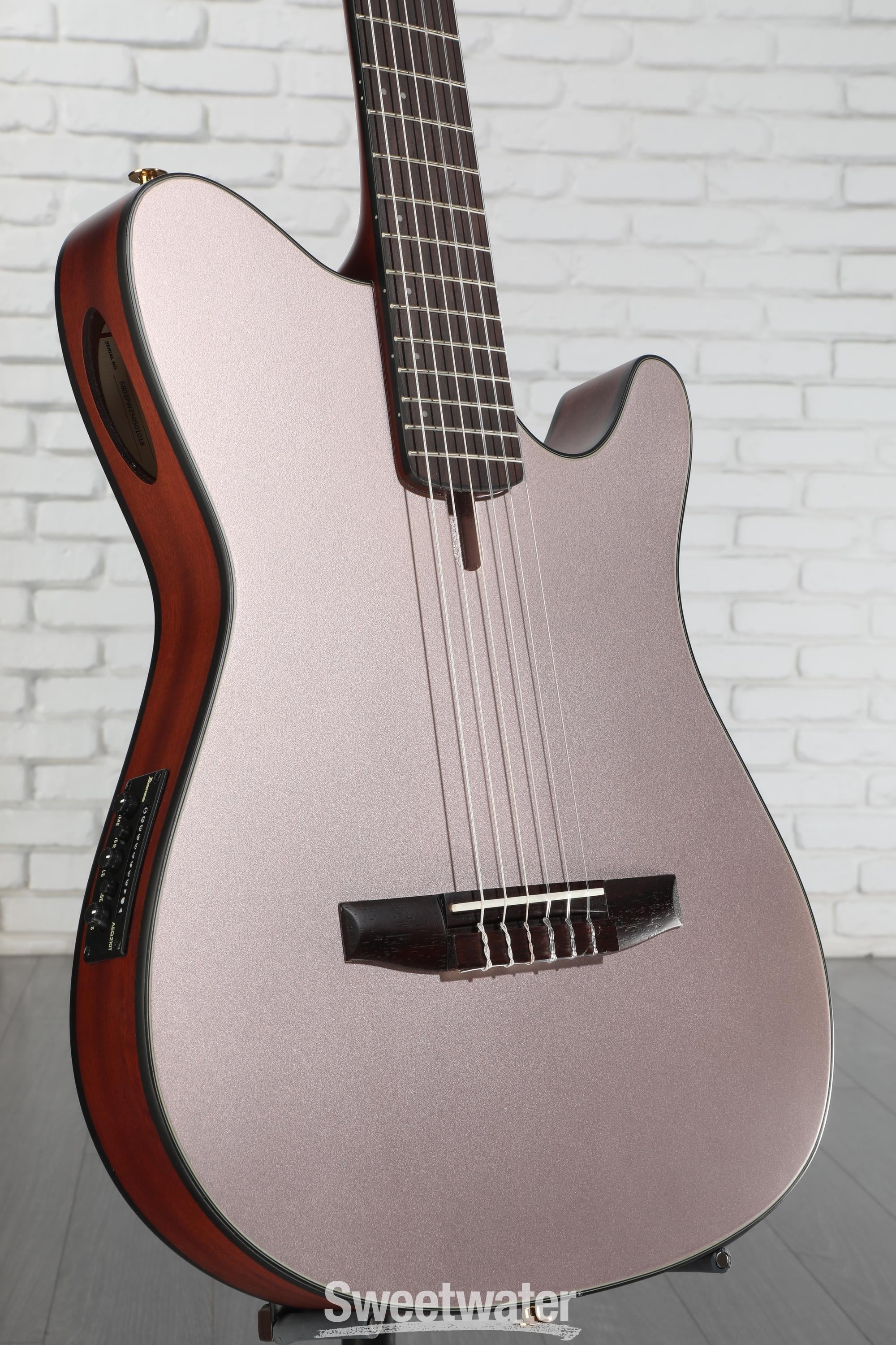 Ibanez FRH10NRGF Thinline Nylon Acoustic-electric Guitar - Rose Gold Metallic Flat