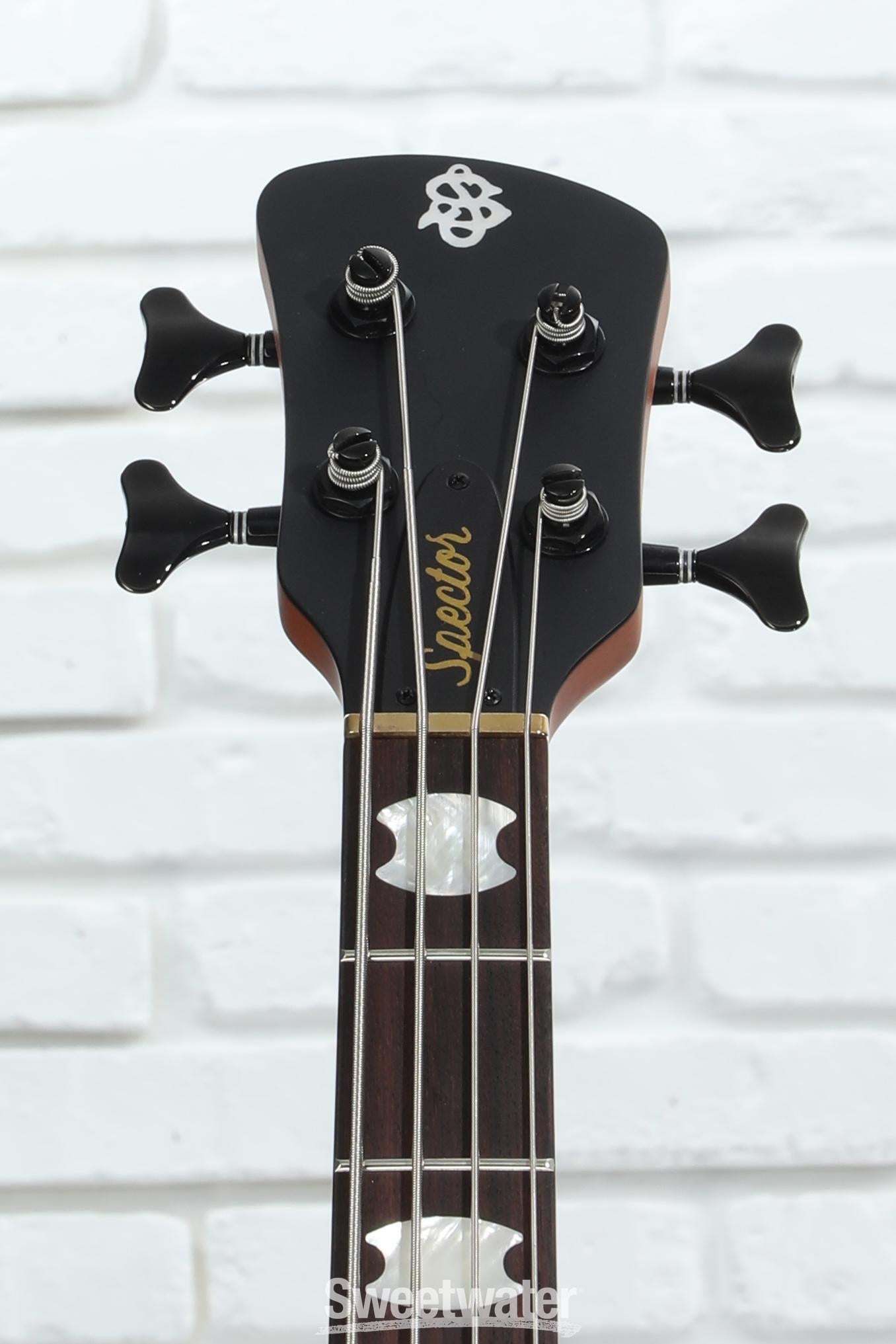 「値下げ中」Spector Euro 4LX Natural Spector Euro 4 LX Limited Edition Bass Guitar - Spalted Maple