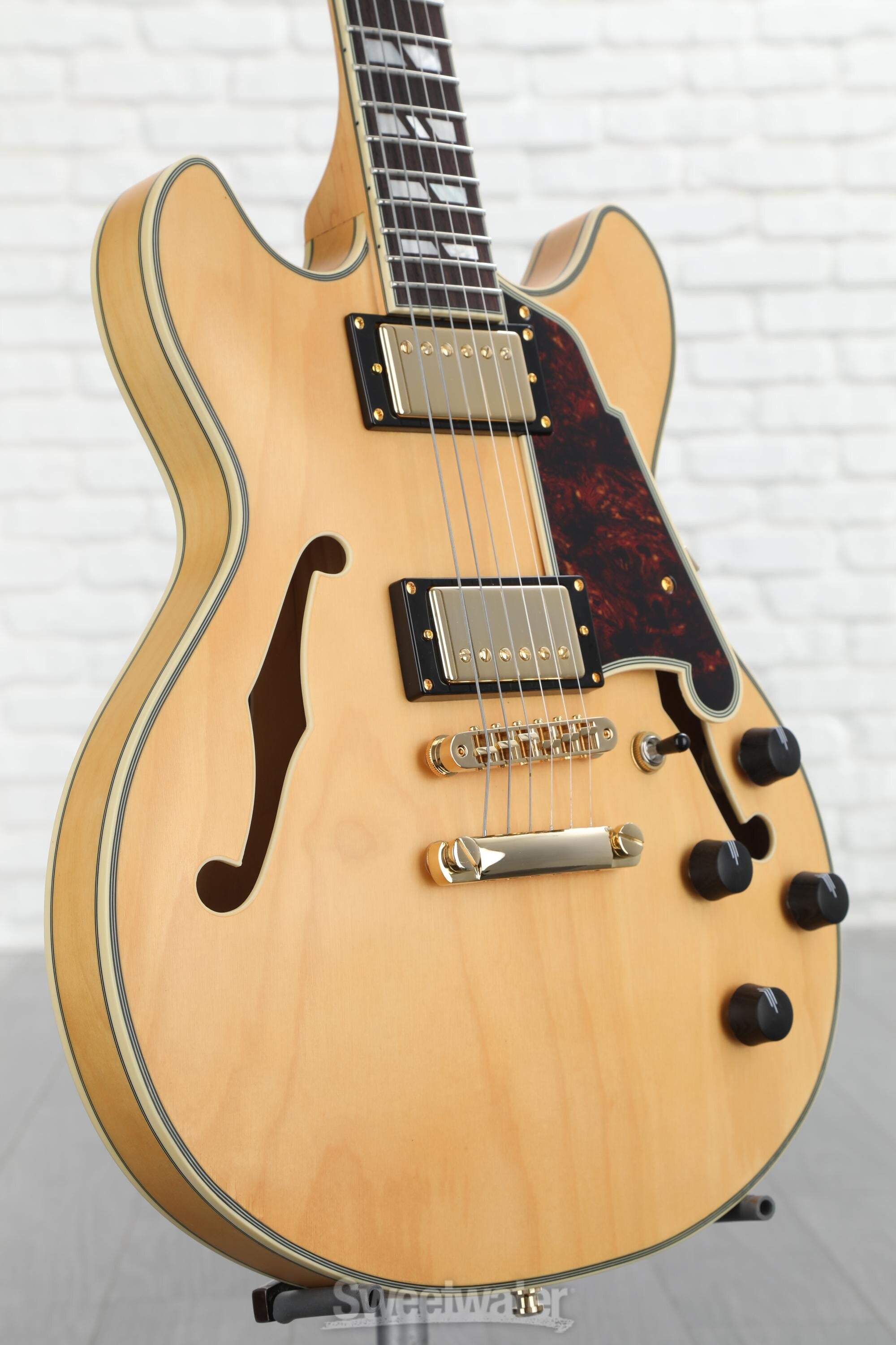 D'Angelico Deluxe Mini DC Semi-hollowbody Electric Guitar