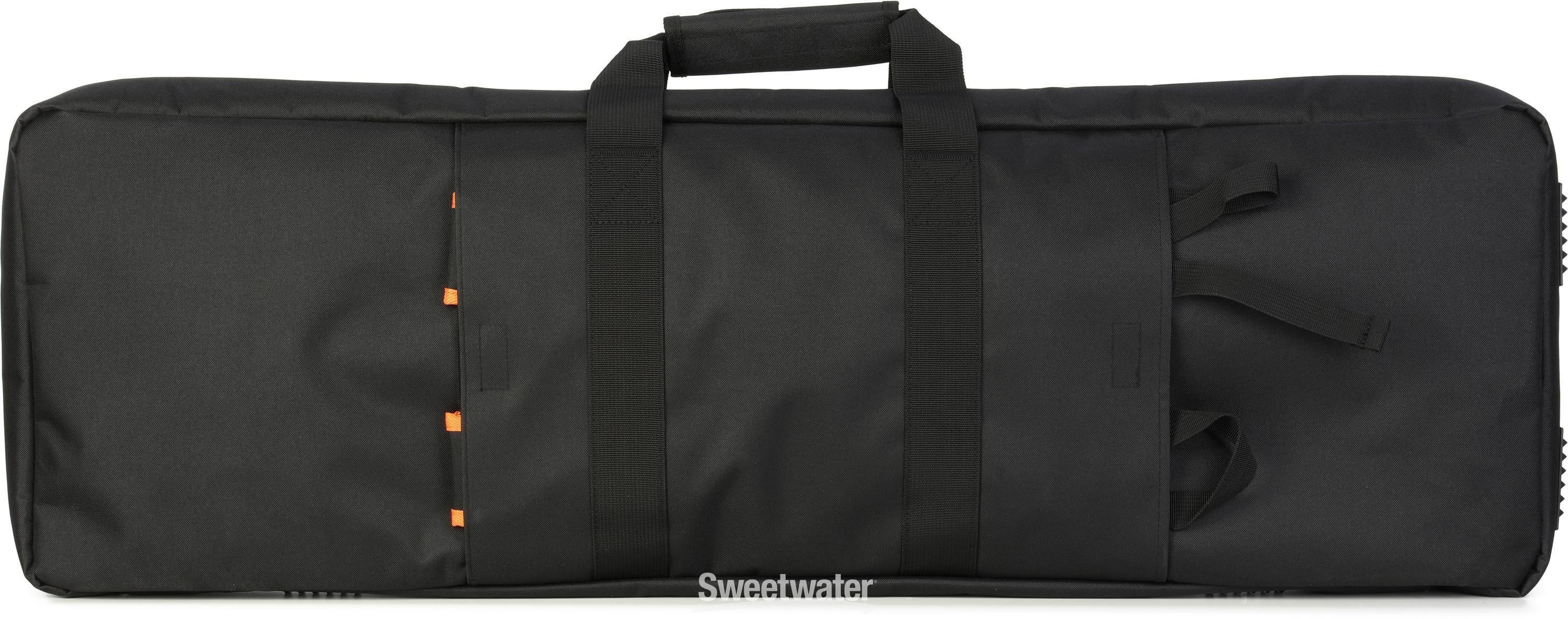 Roland CB-V61 Keyboard Bag | Sweetwater