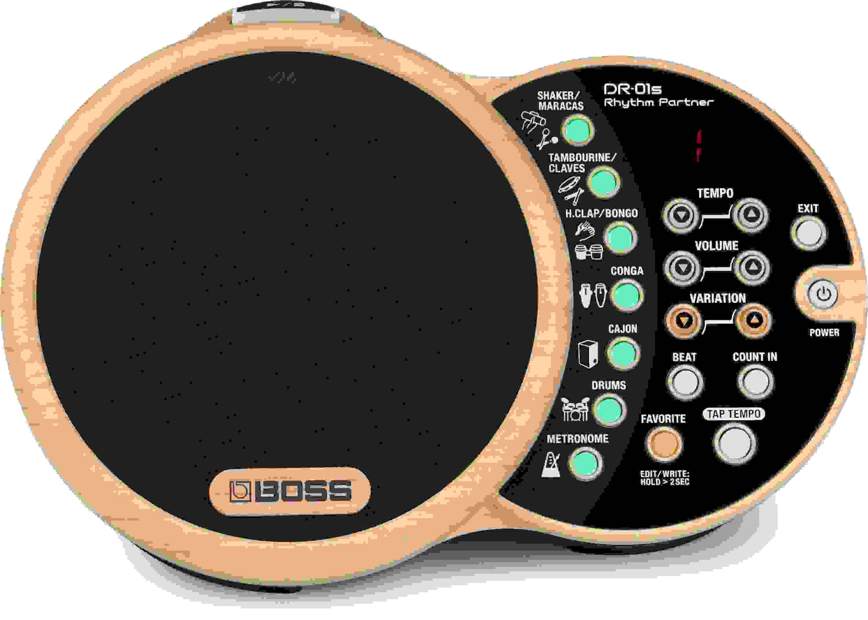 Boss DR-01S Rhythm Partner Performance Groove Machine