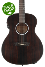 Photo of Washburn Deep Forest Ebony FE Acoustic-Electric Guitar - Natural