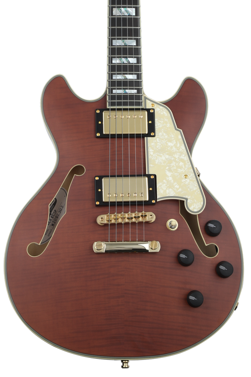 D'Angelico Deluxe Mini DC Limited Edition Semi-hollow Electric