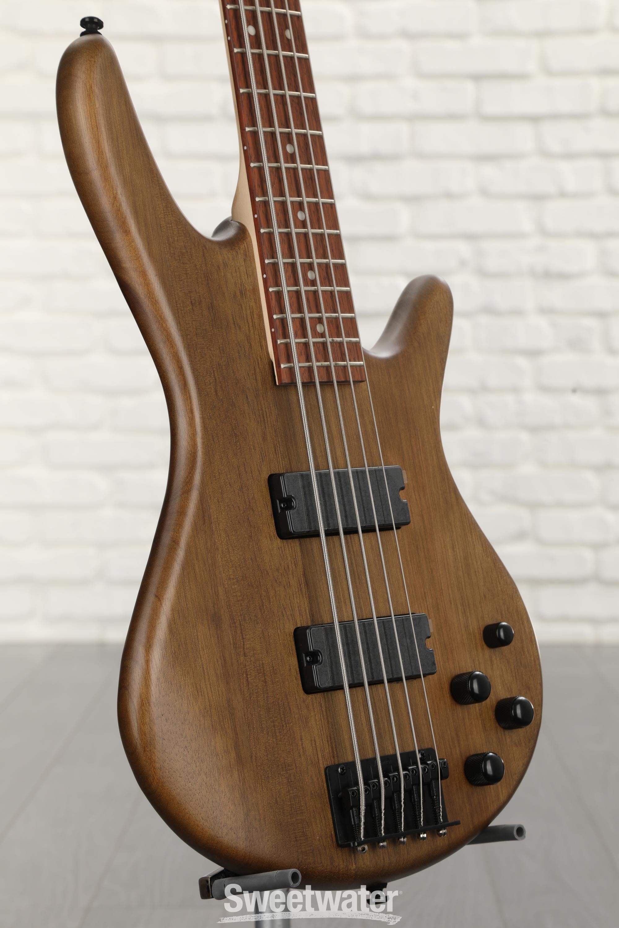 Ibanez deals walnut bass