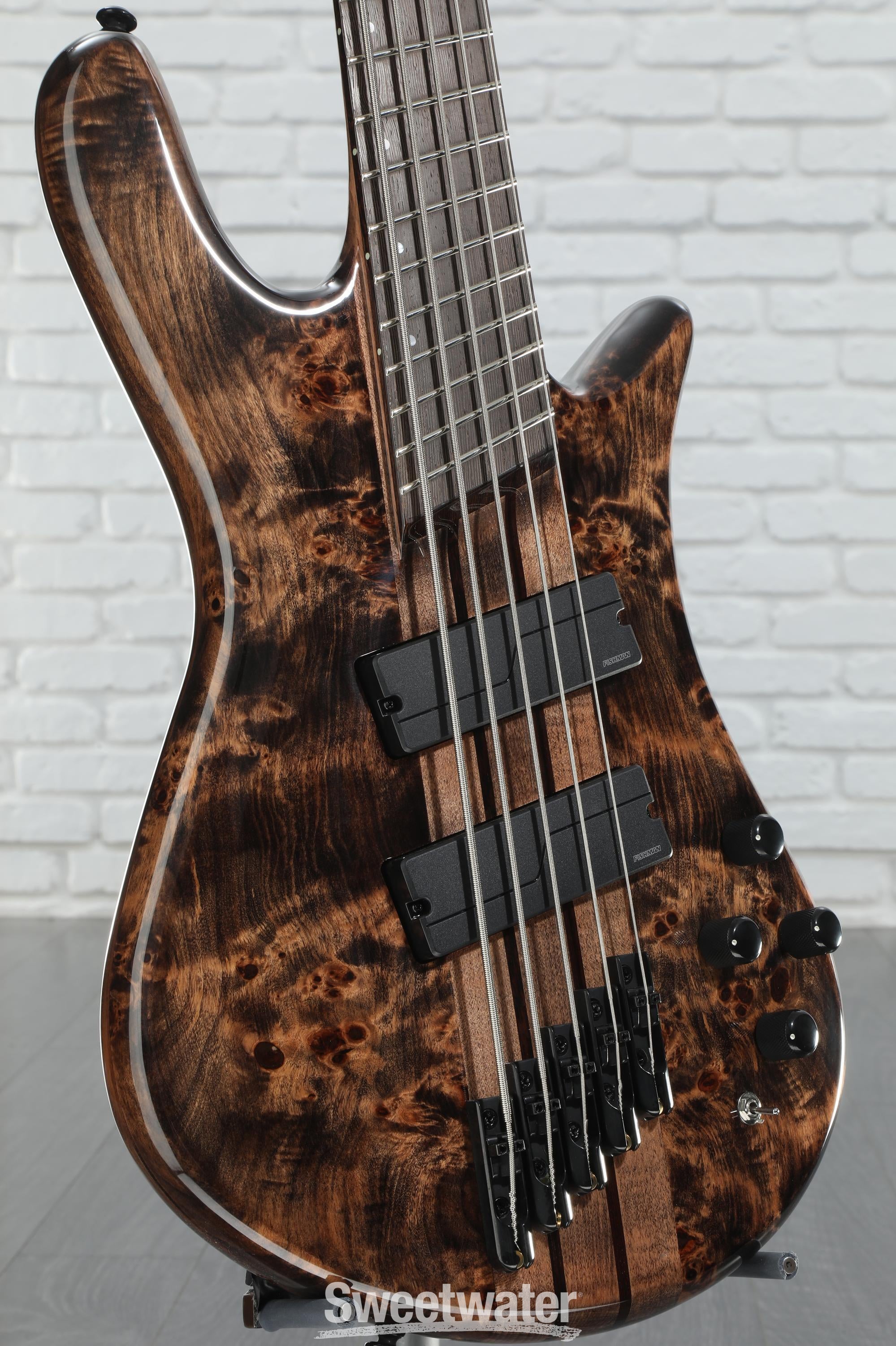 ベース Spector NS dimension-5 NS Dimension 5 - Spector Bass