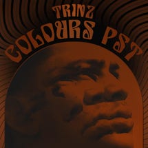 Product Image - This Item - Spitfire Audio Trinz Colours PST Instrument and Effects Plug-in