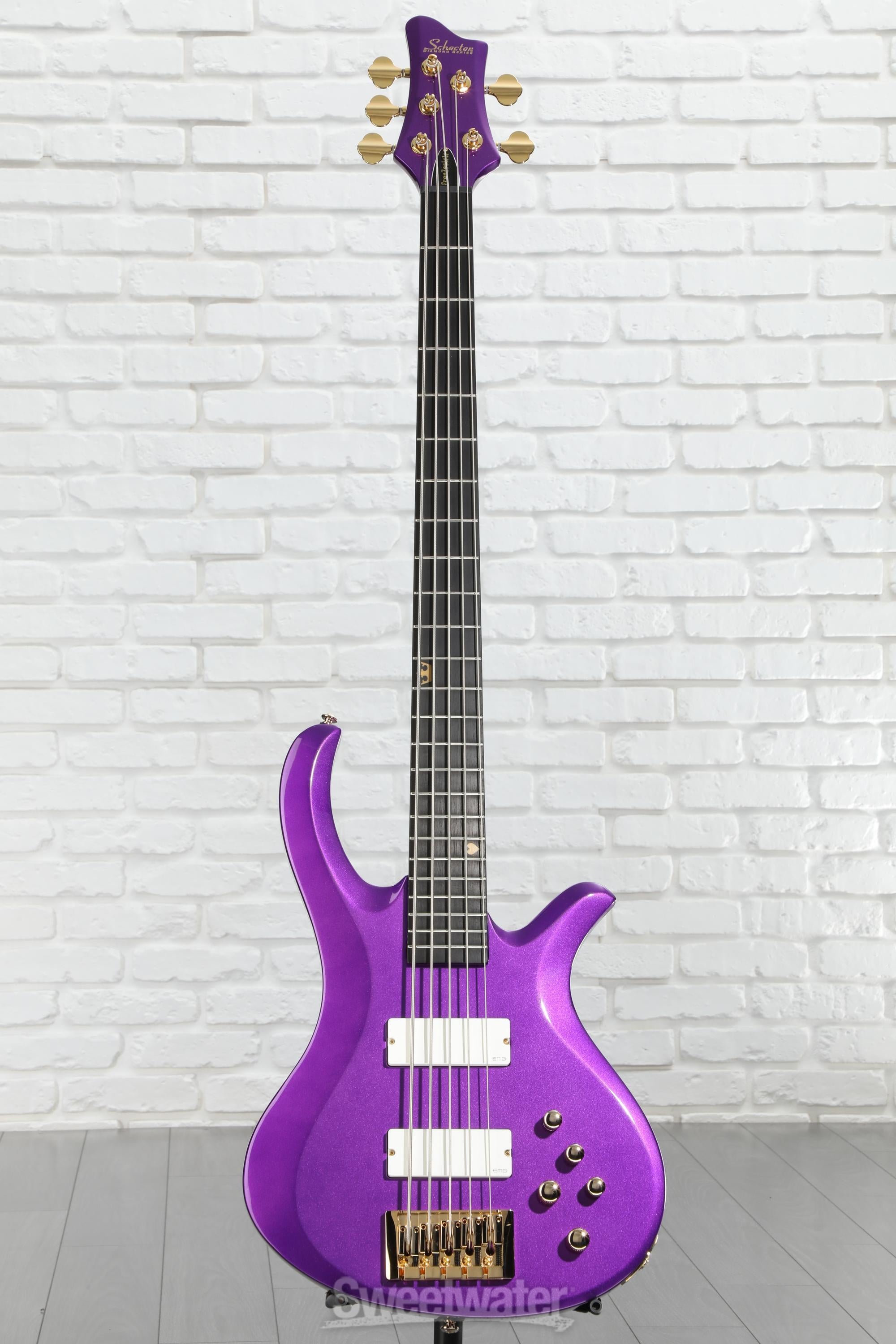 Schecter FreeZesicle-5 Signature Bass Guitar - Freeze Purple