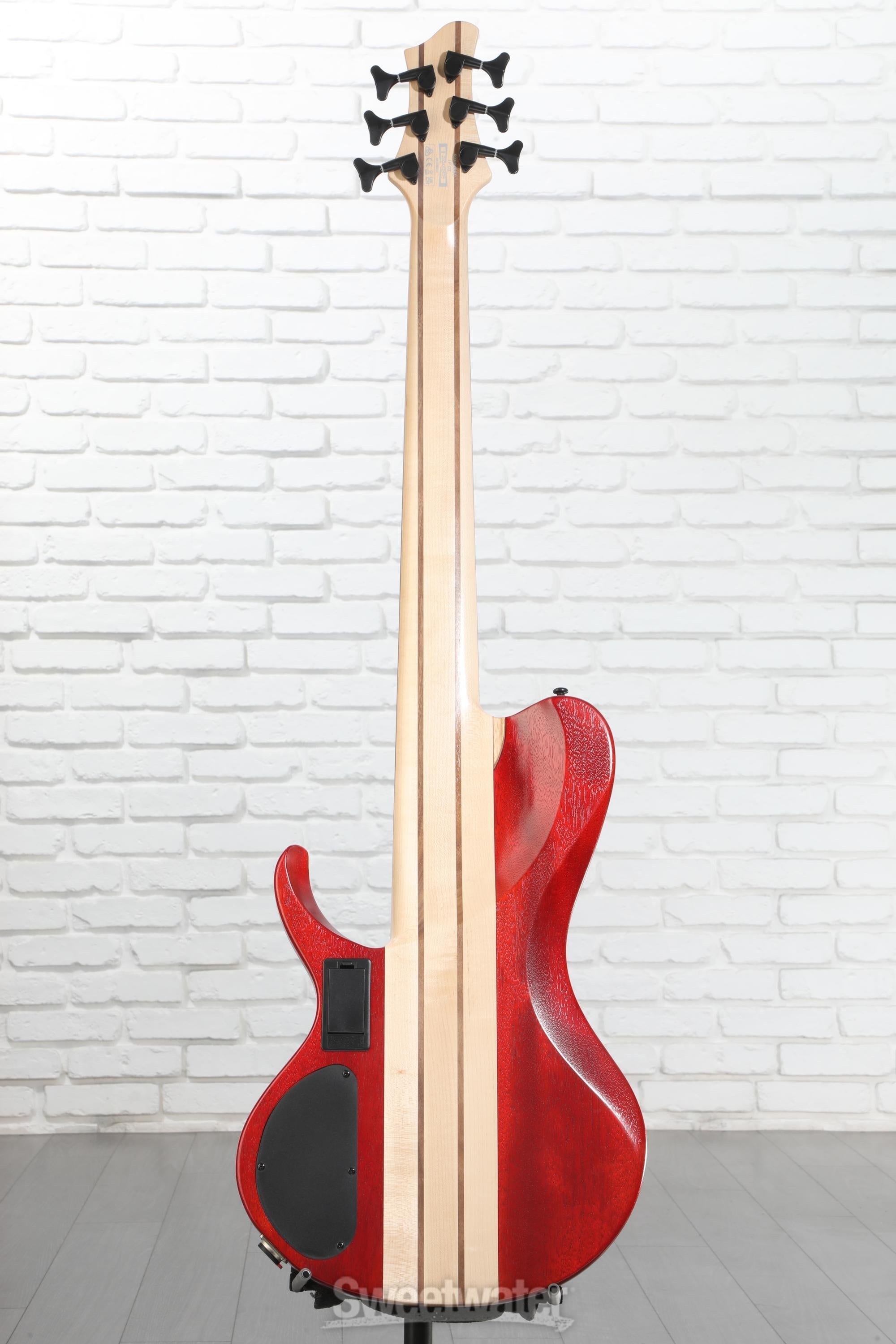 Ibanez Bass Workshop BTB866SC 6-string Bass Guitar - Weathered