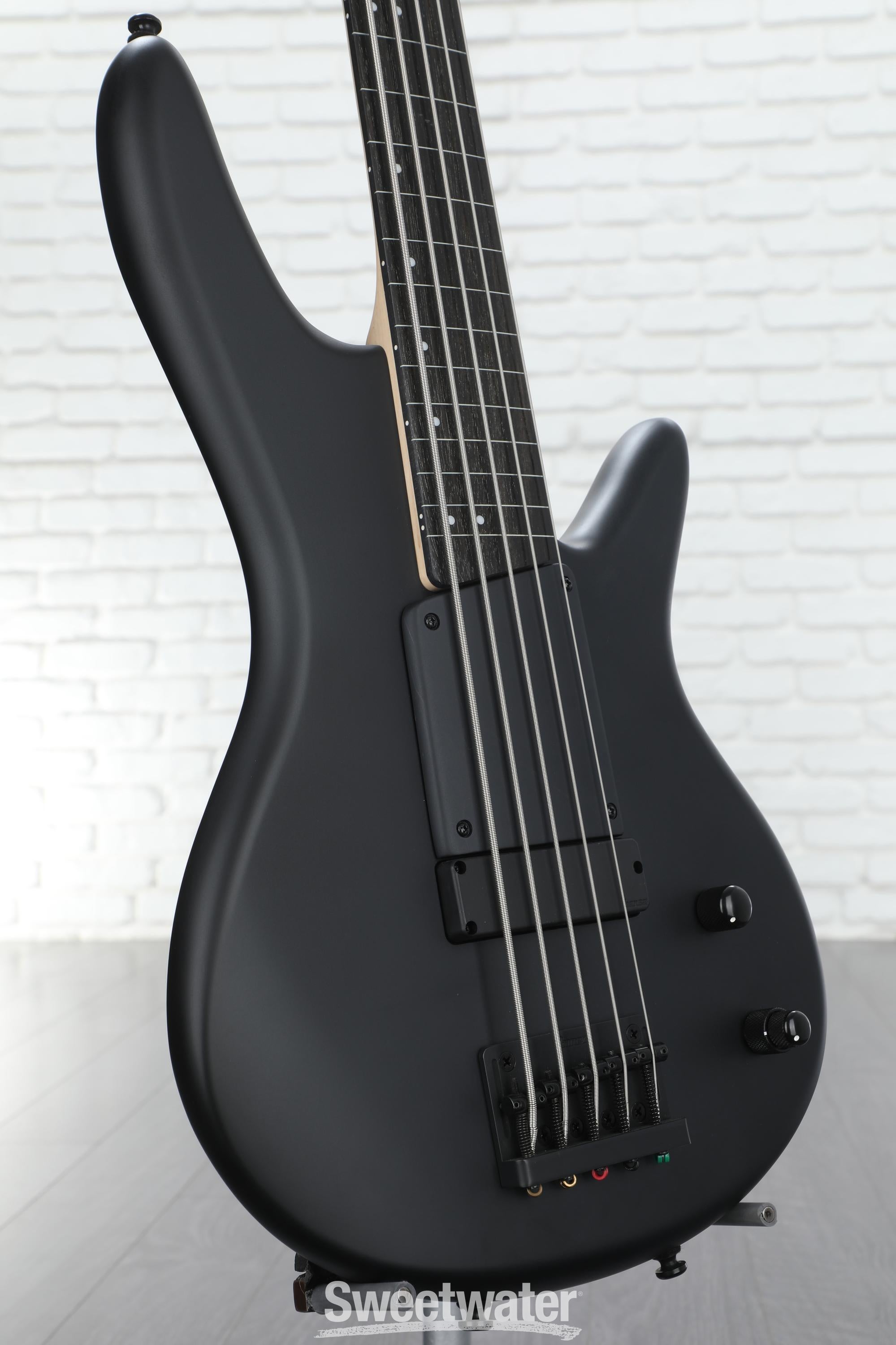 Ibanez Gary Willis Signature GWB35 Fretless 5-string Bass Guitar - Black  Flat